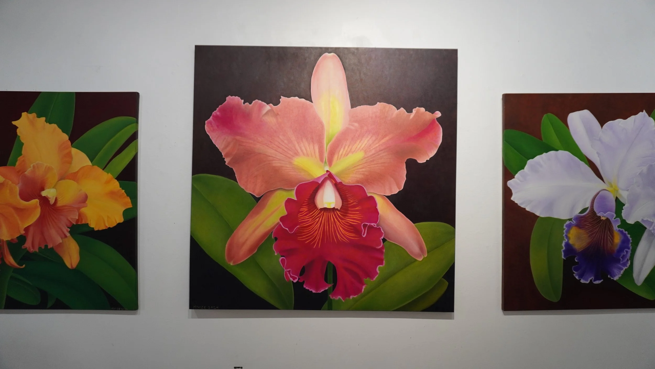 Single orchid flower containing the colors of: red, yellow, peach, green, and orange. The flower is surrounded by flora, and the background is dark brown. 