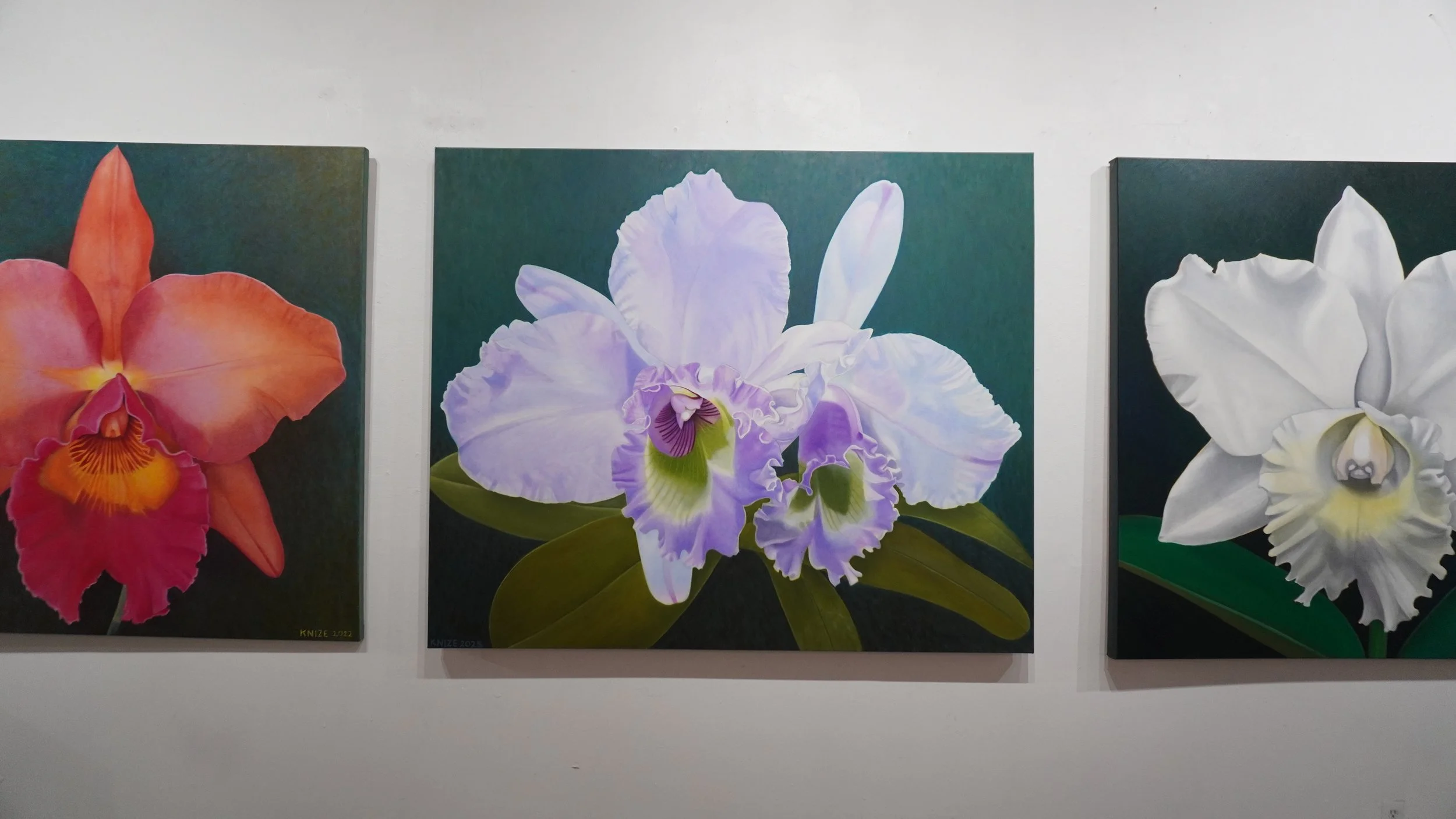 Two purple and white flowers, the center of each flower is green and dark purple. The flowers are surrounded by flora, and the background is a dark teal. 
