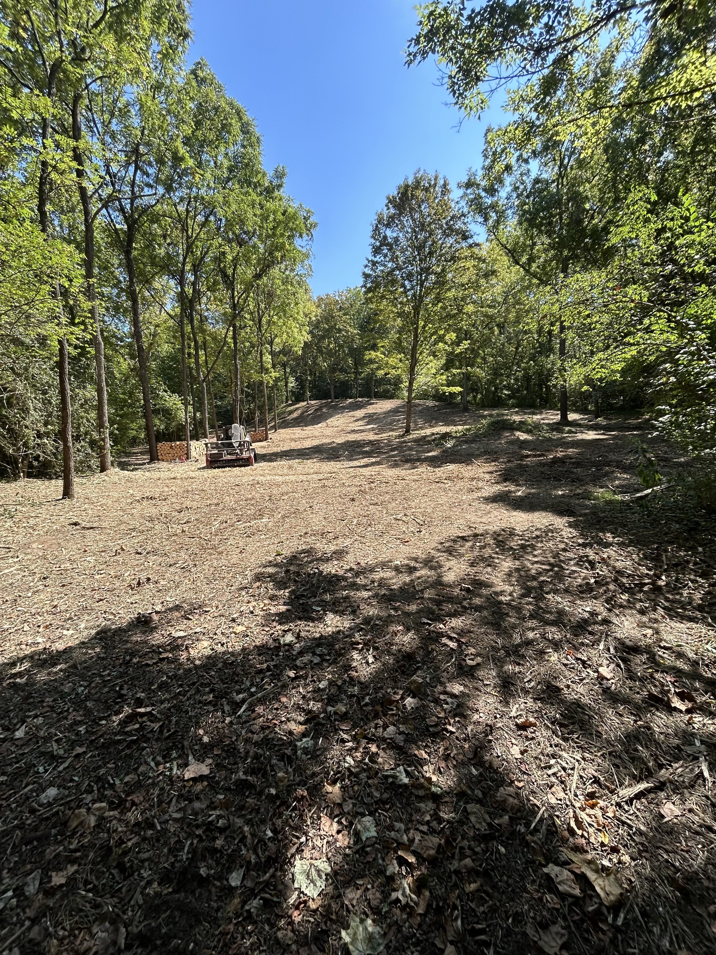 A cleared outdoor area with trees on all sides under a clear blue sky, a wheelbarrow, and some stacked firewood in the background.