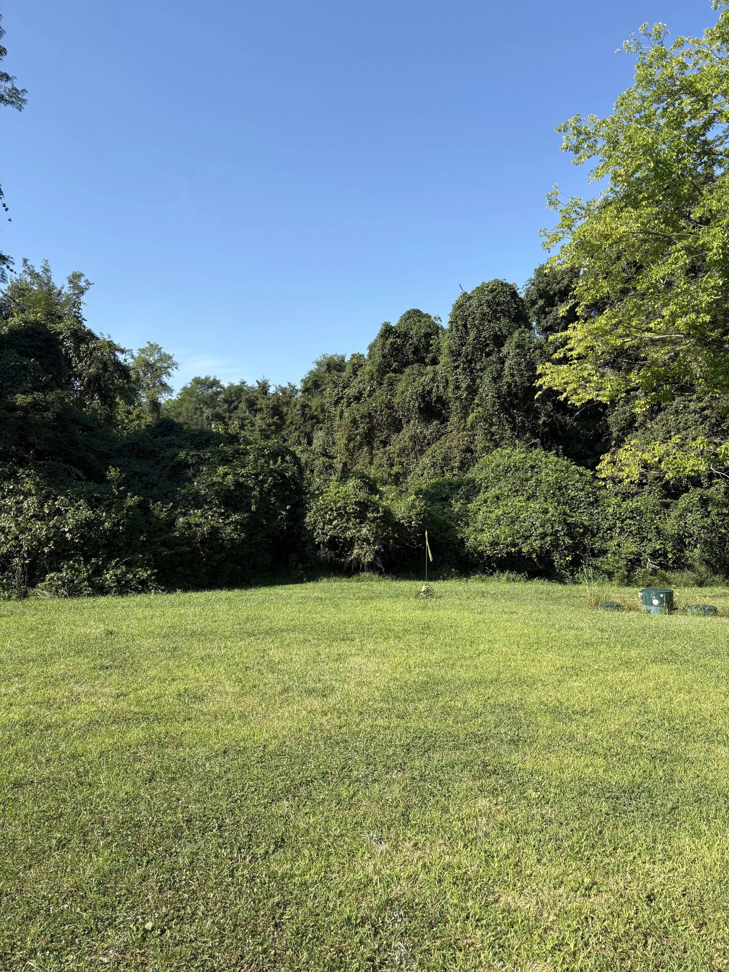 A grassy field with a yellow flag in the center, surrounded by trees and a clear blue sky.