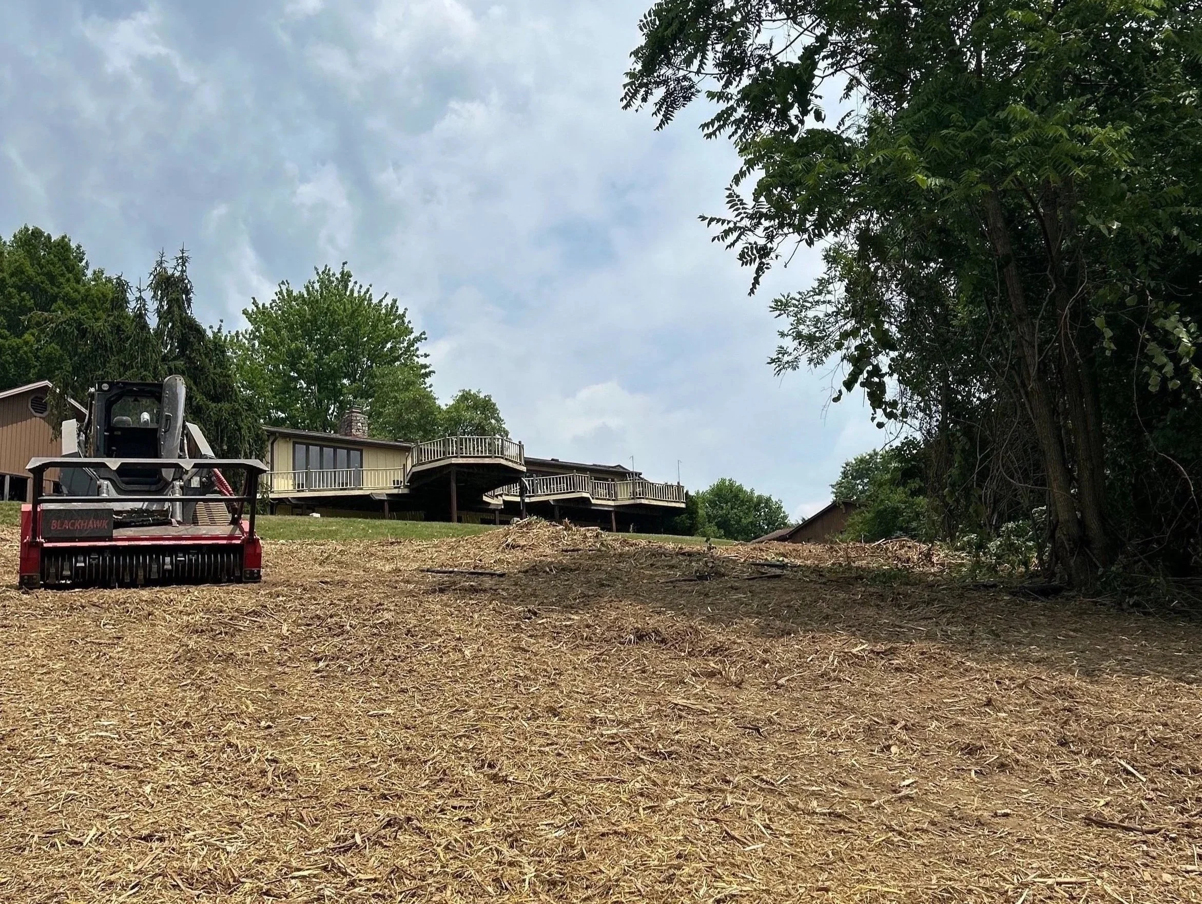 A yard with bare dirt, a red and black lawn mower, trees, and houses in the background under a cloudy sky.