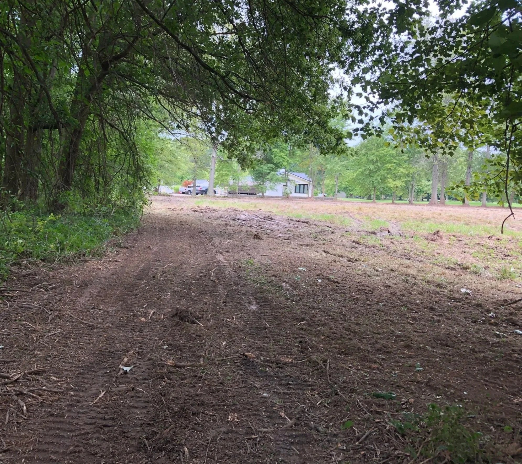 A dirt path through a wooded area leading to a field with a house and trees in the background.