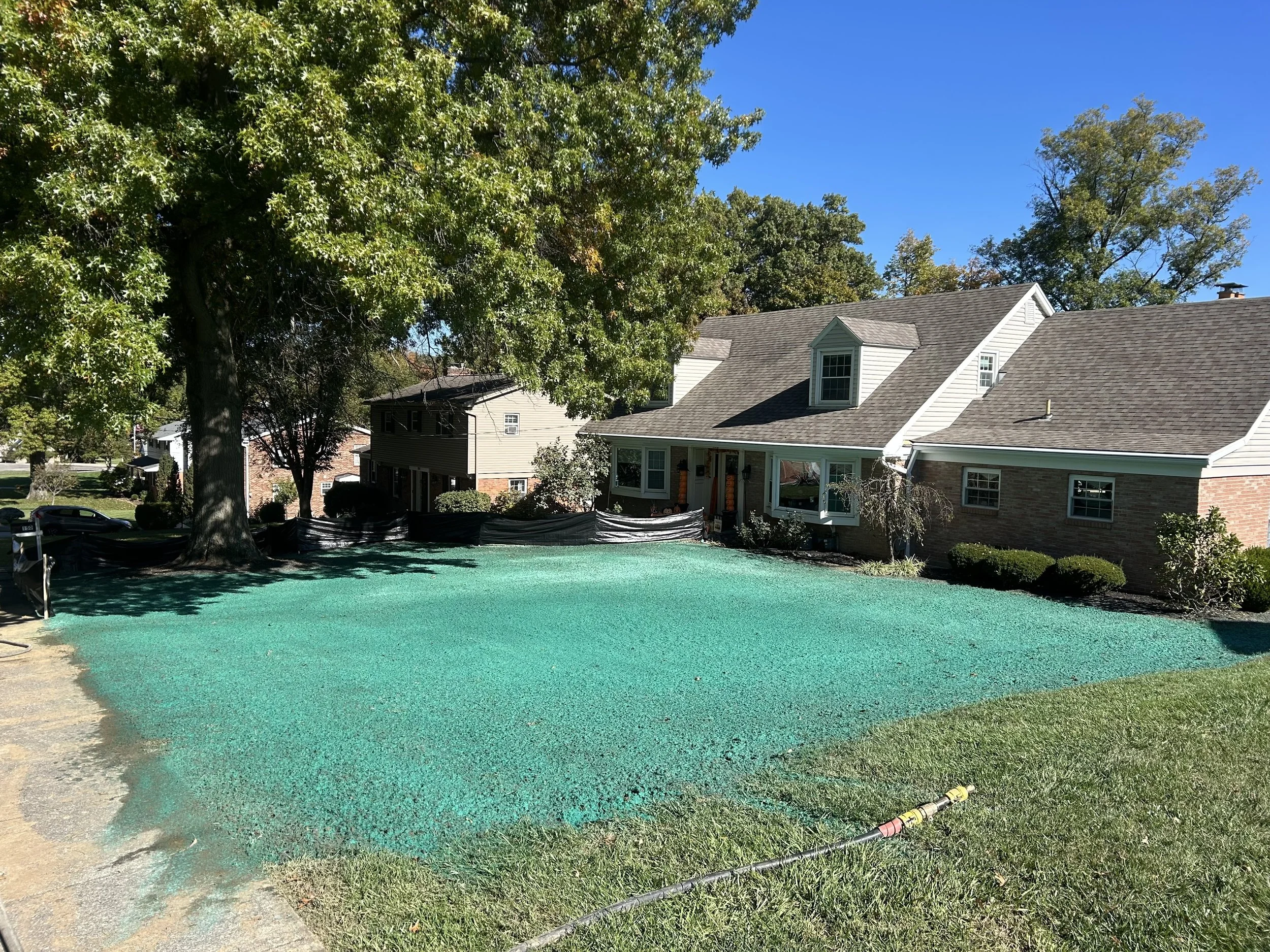 Residential backyard with a large tree, a house with a gabled roof, and a section of the yard covered in green spray foam insulation, with a garden hose on the grass.