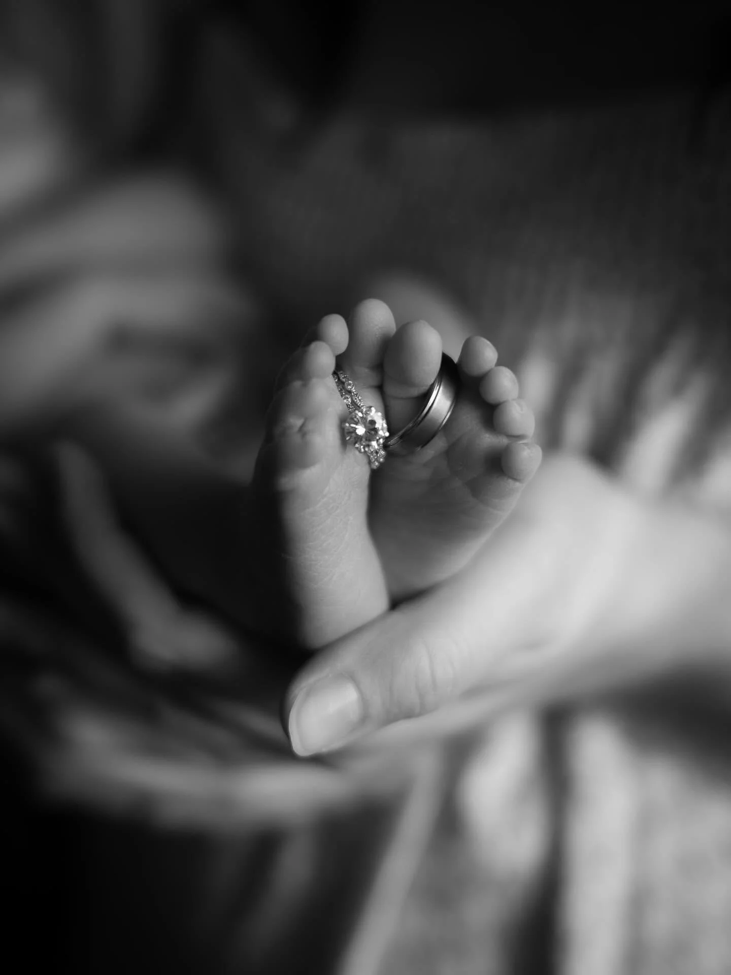 Family Photography Serving  Southwest Minnesota, Northwest Iowa, Eastern South Dakota