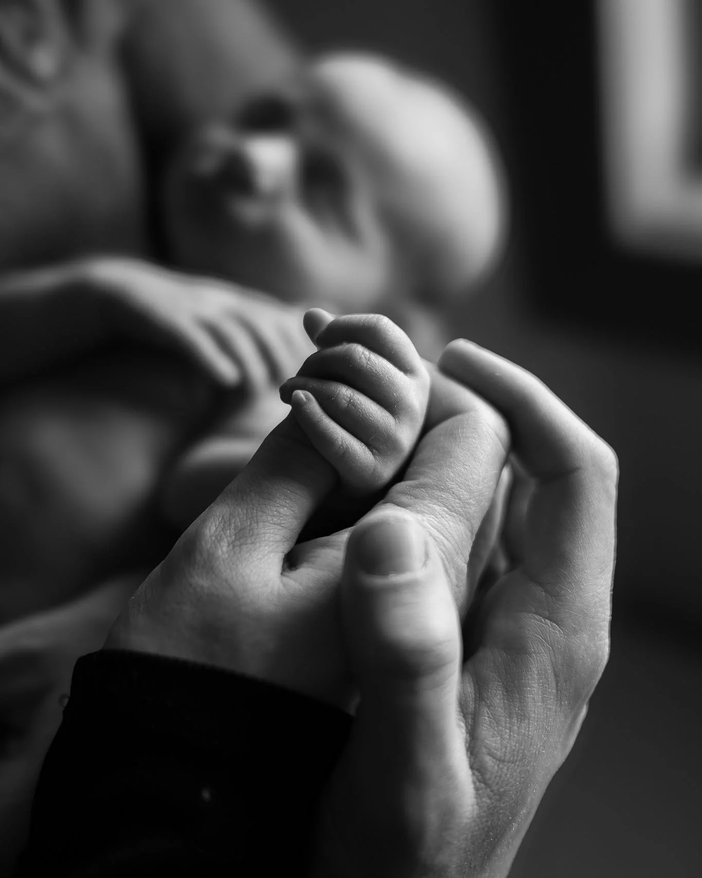 Family Photography Serving  Southwest Minnesota, Northwest Iowa, Eastern South Dakota