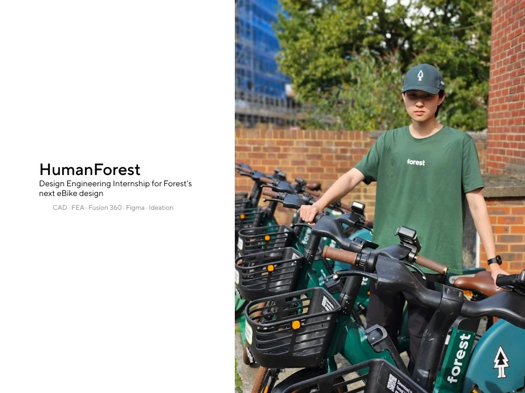 forest 43.jpg