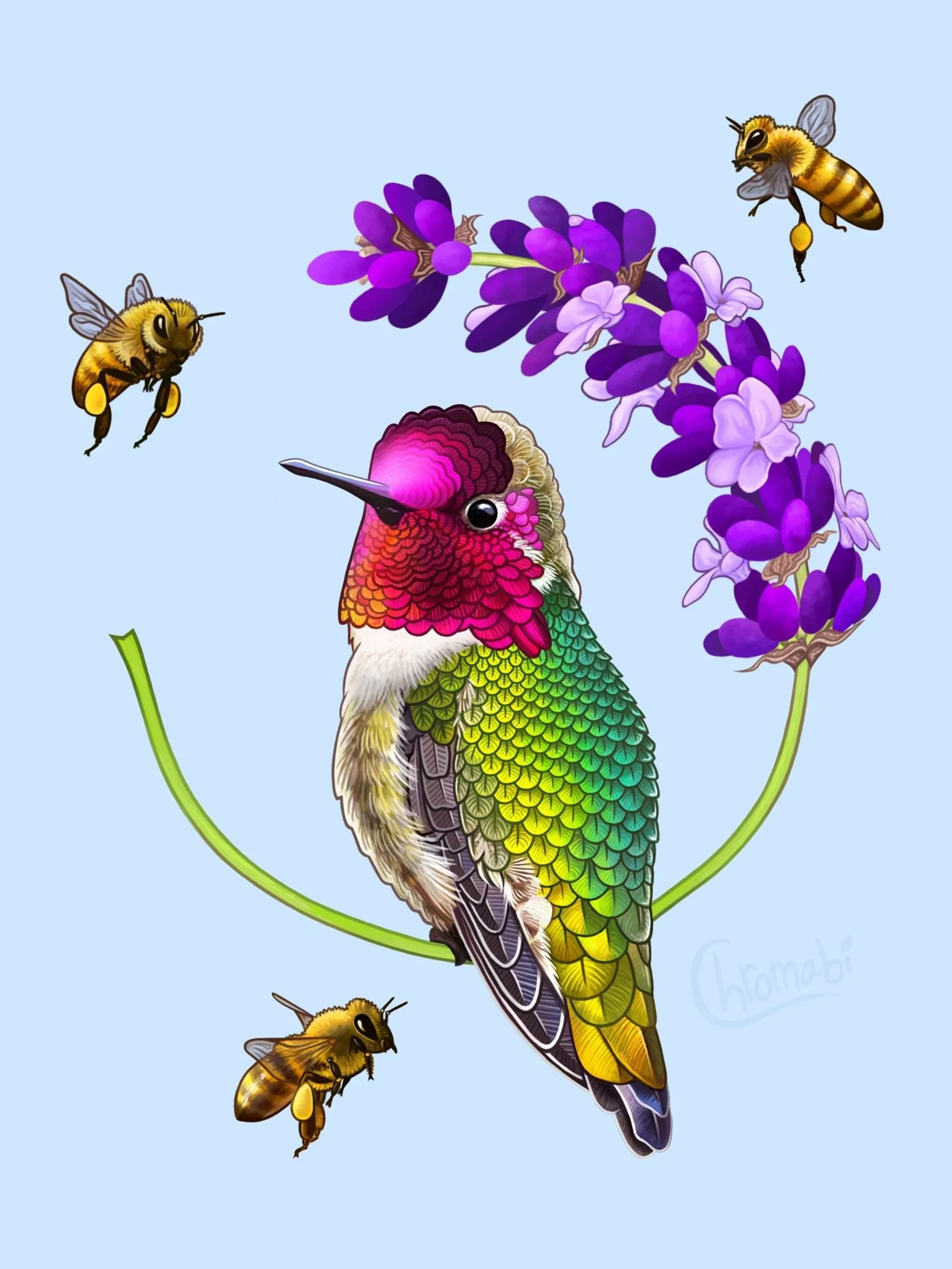 Hummingbird's Rest Lavender Farms