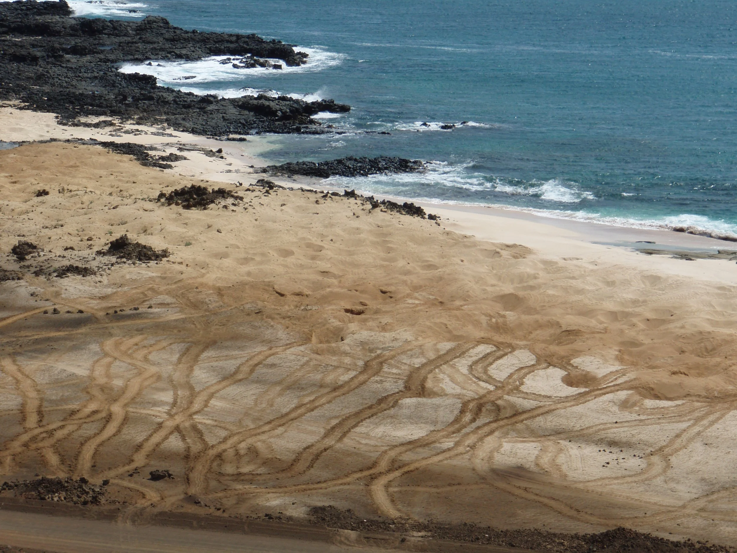 The Magnetism Project