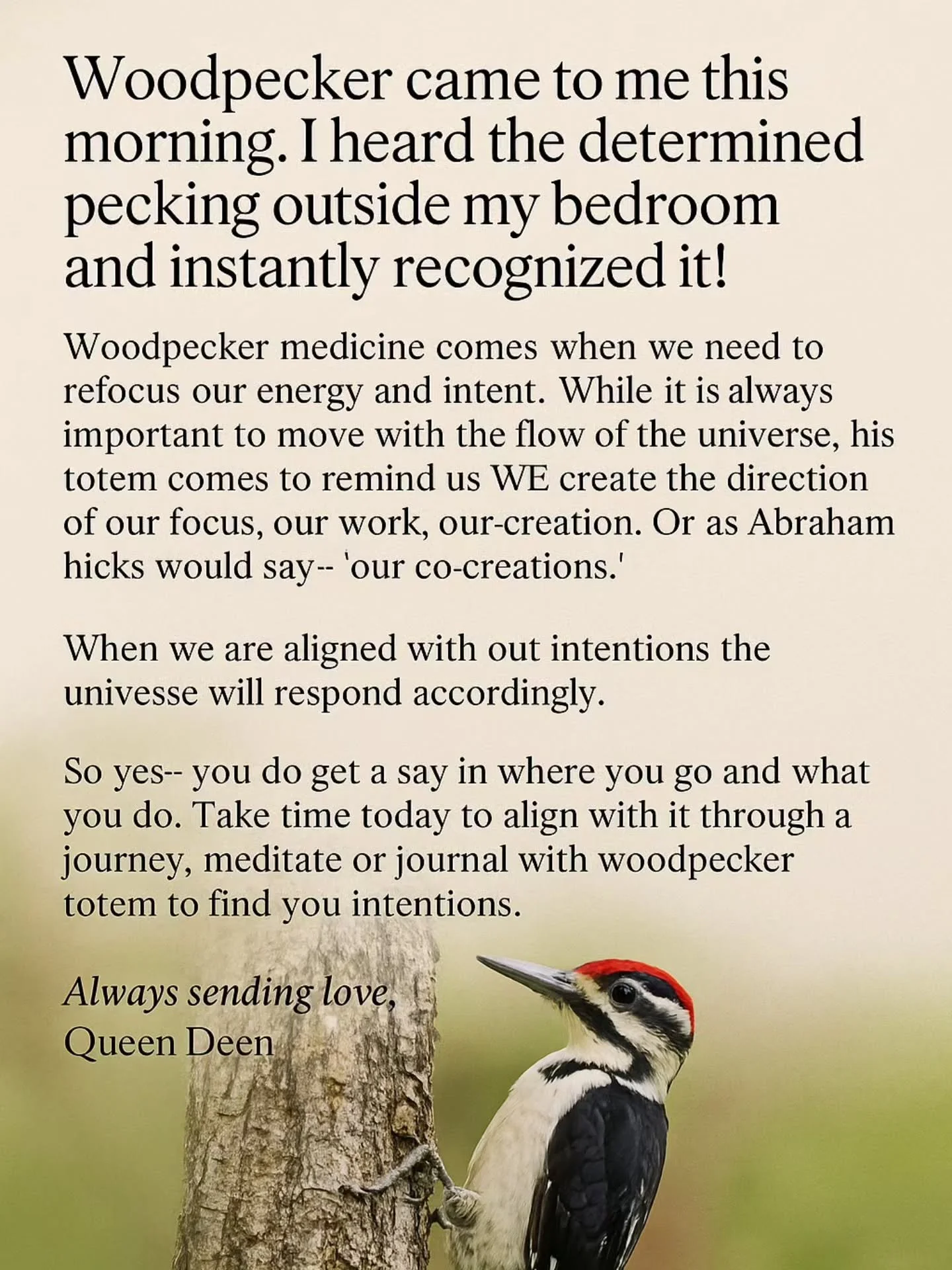 Woodpecker came to me this morning. I heard the determined pecking outside my bedroom and instantly recognized it! Woodpecker medicine comes when we need to refocus our energy and intent. While it is always important to move with the flow of the univ