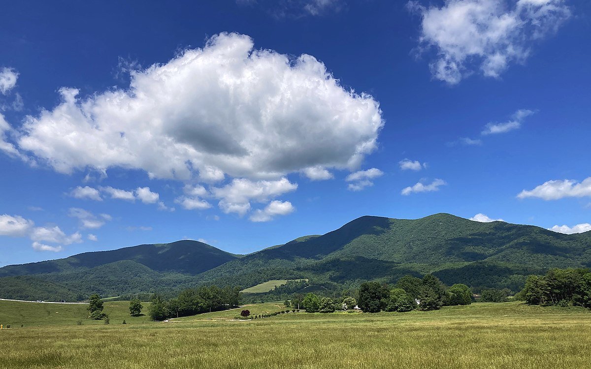 Art & Yoga Mini-Retreat