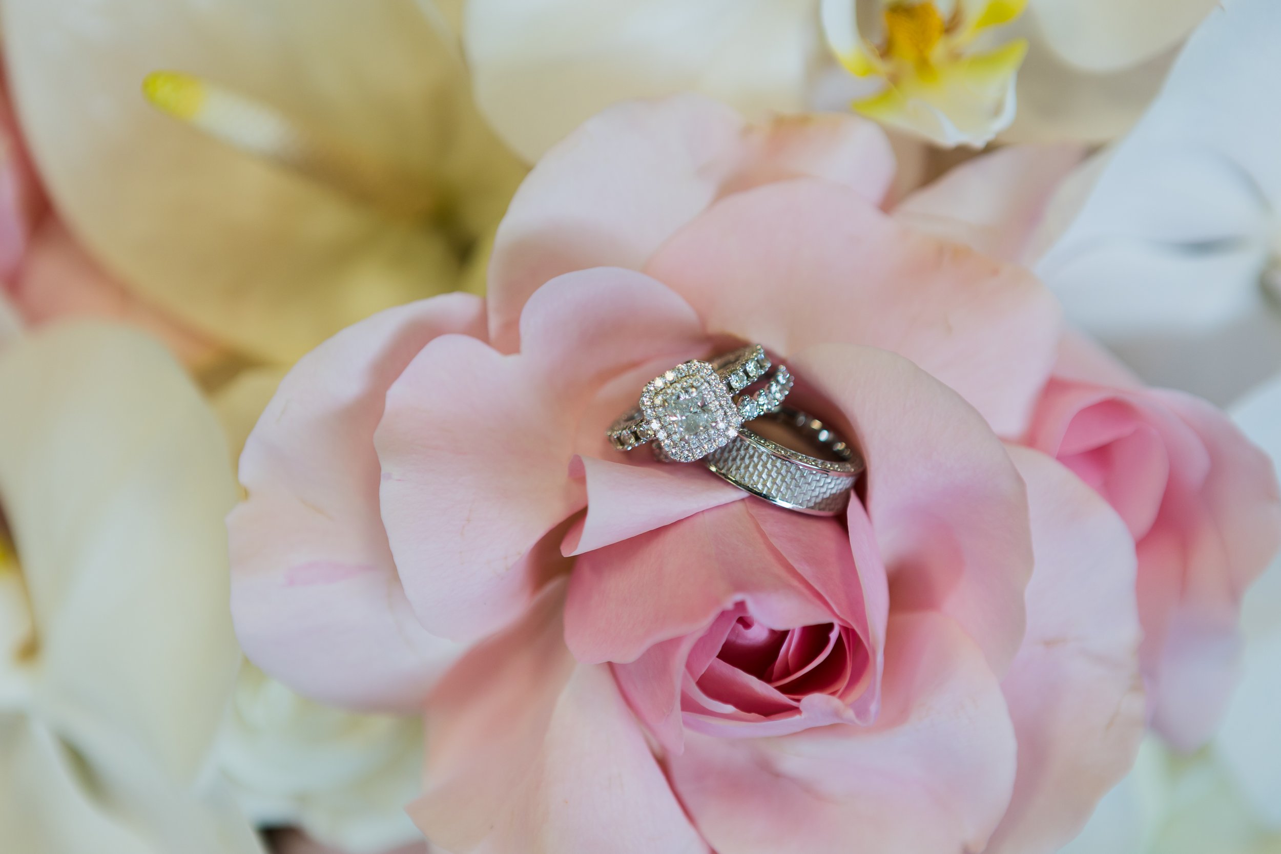 Where Can I Find Professional Wedding Photographers in Hawaii? 💍🌺