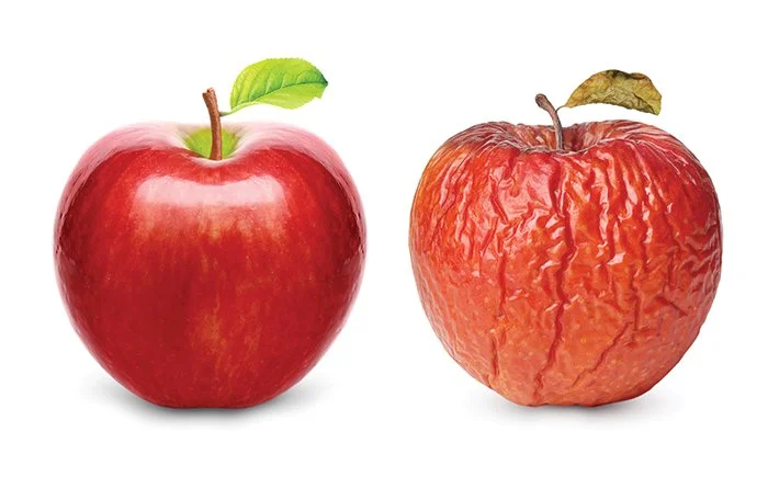 Would you eat a rotten apple?