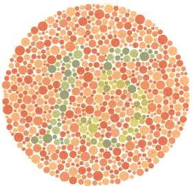 Plate6.gif