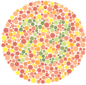 Plate13.gif