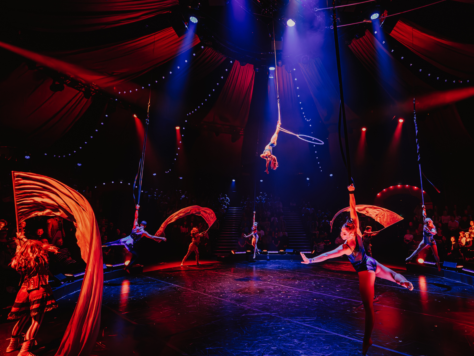 come-alive-the-greatest-showman-circus-spectacular-3dece99e-886a-11ef-8008-00163ea7d0cf.png