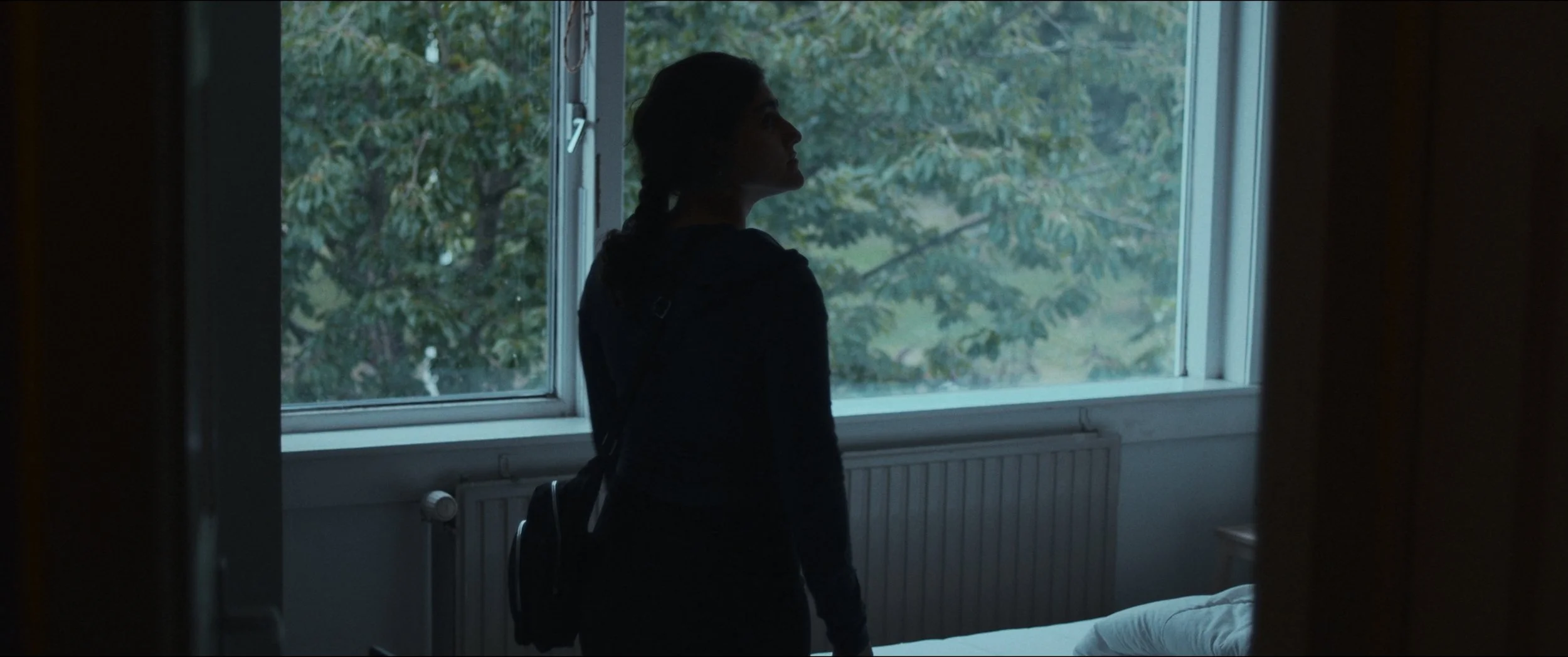 Still 2026-02-24 144558_1.1.4.jpg