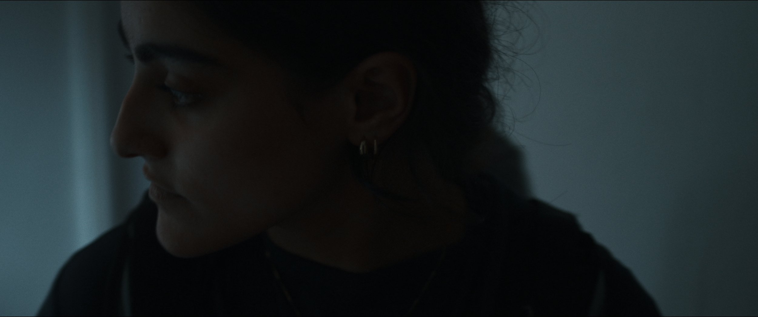 Still 2026-02-24 144558_1.1.3.jpg