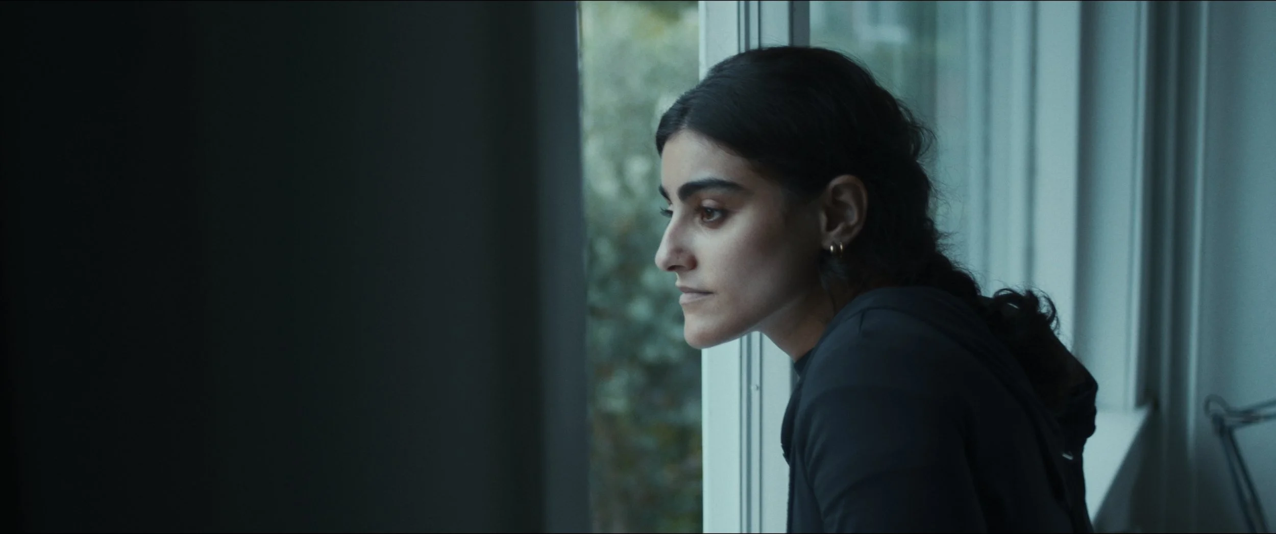 Still 2026-02-24 144558_1.1.5.jpg