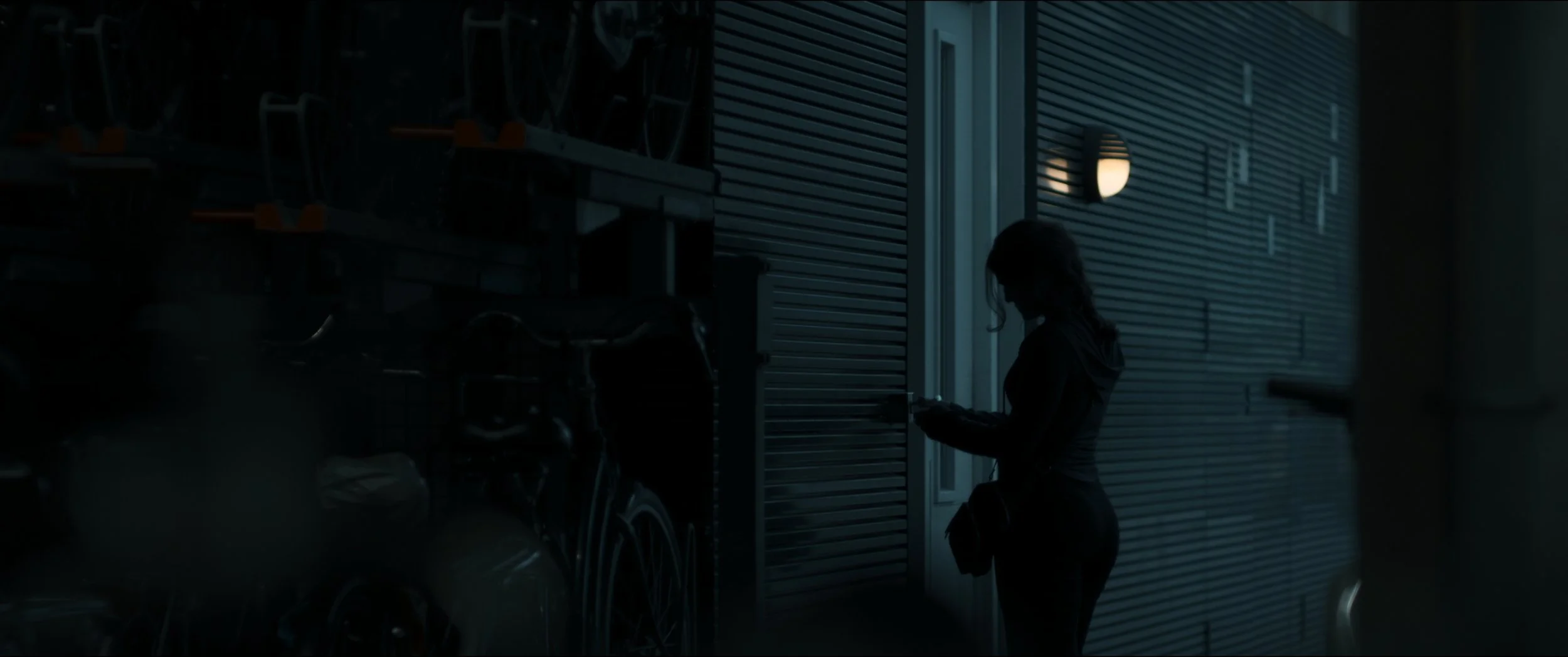 Still 2026-02-24 150008_1.1.7.jpg