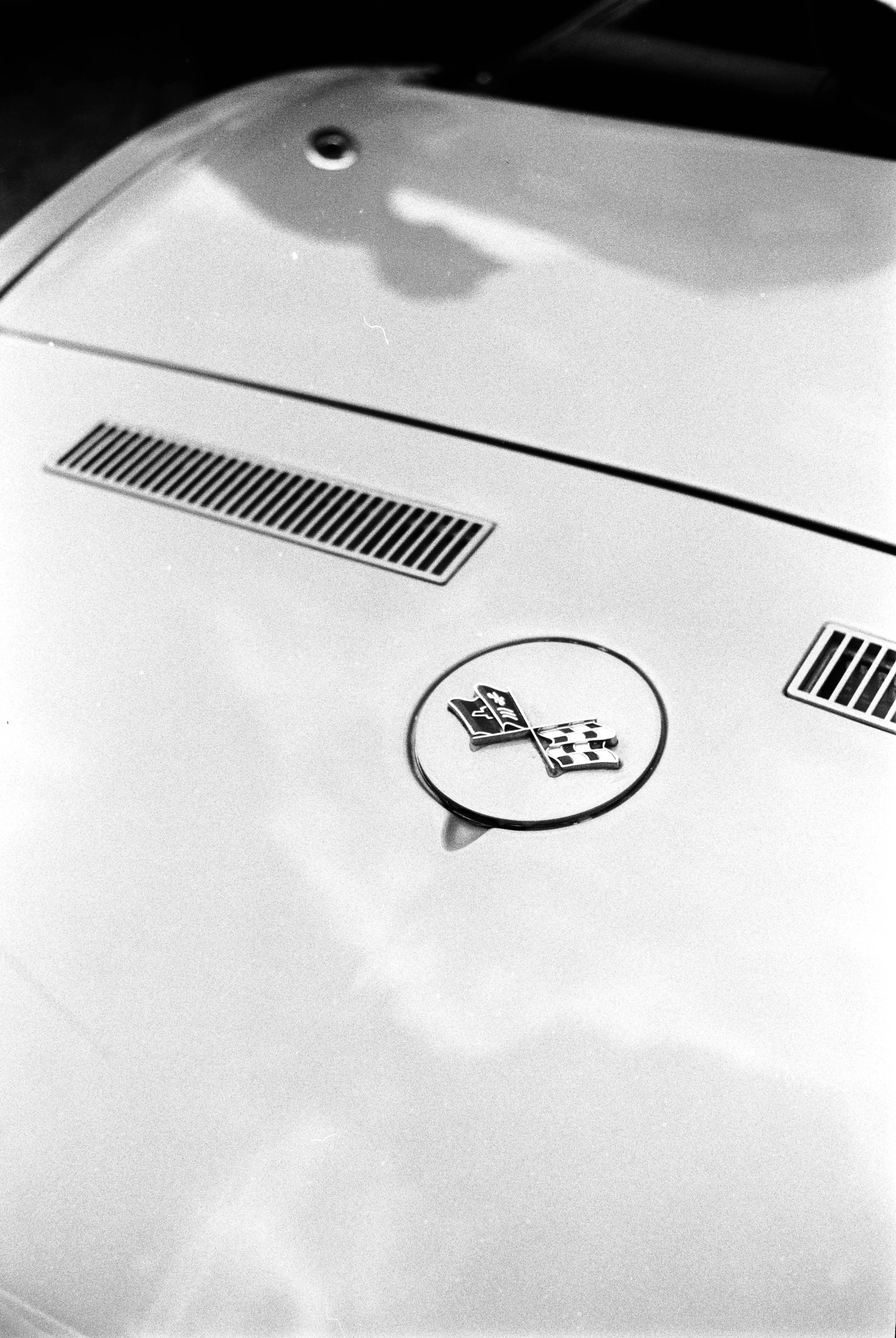 LH2A0350.jpg