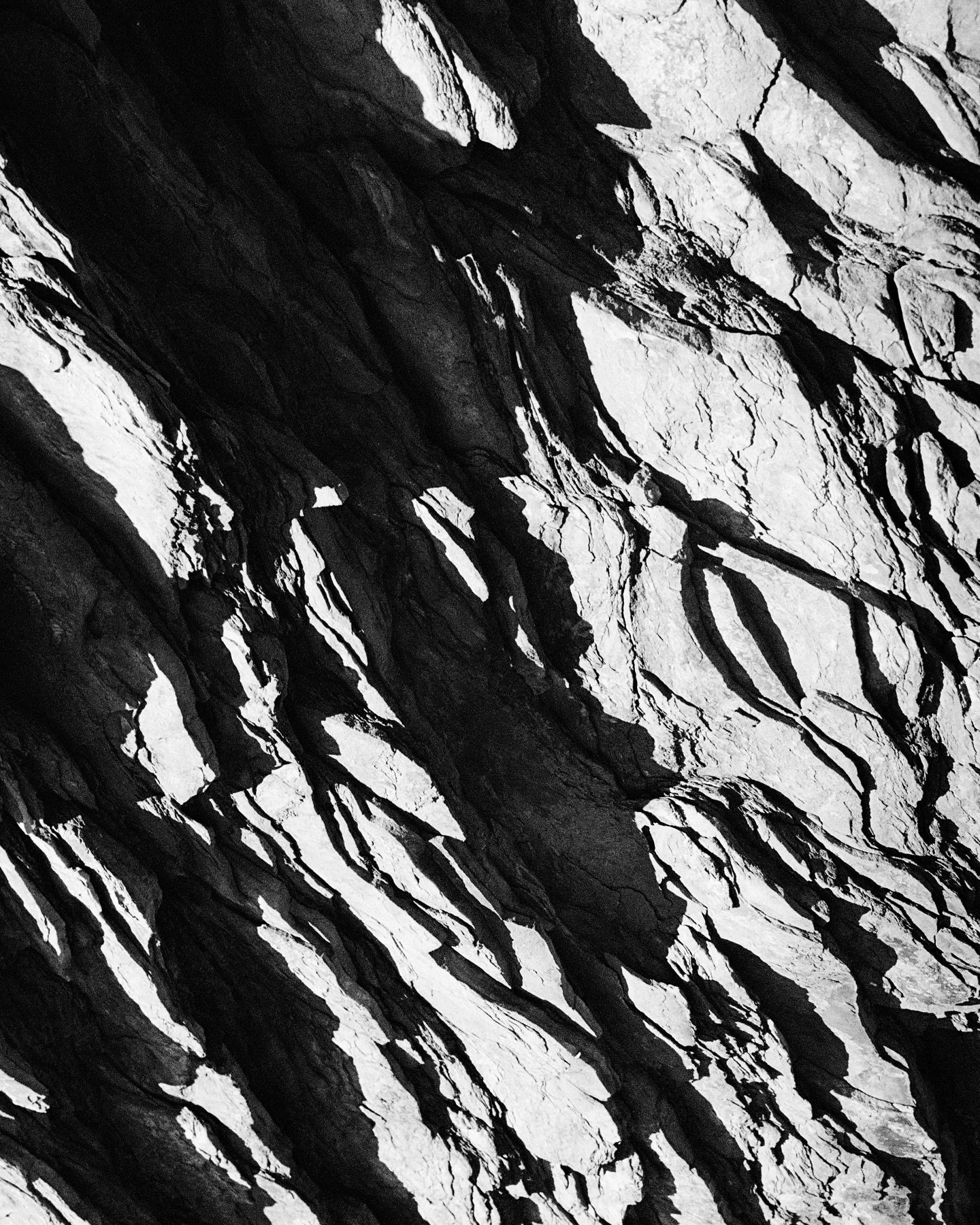 some monochrome textures 

📷 Canon AE-1 Program, Mamiya 645 1000S
🎞️ Ilford XP2 Super 400
🧪 Dev &amp; scan @yourlocalfilmlab

#ilford #ilfordphoto #ilfordfilm #ilfordxp2