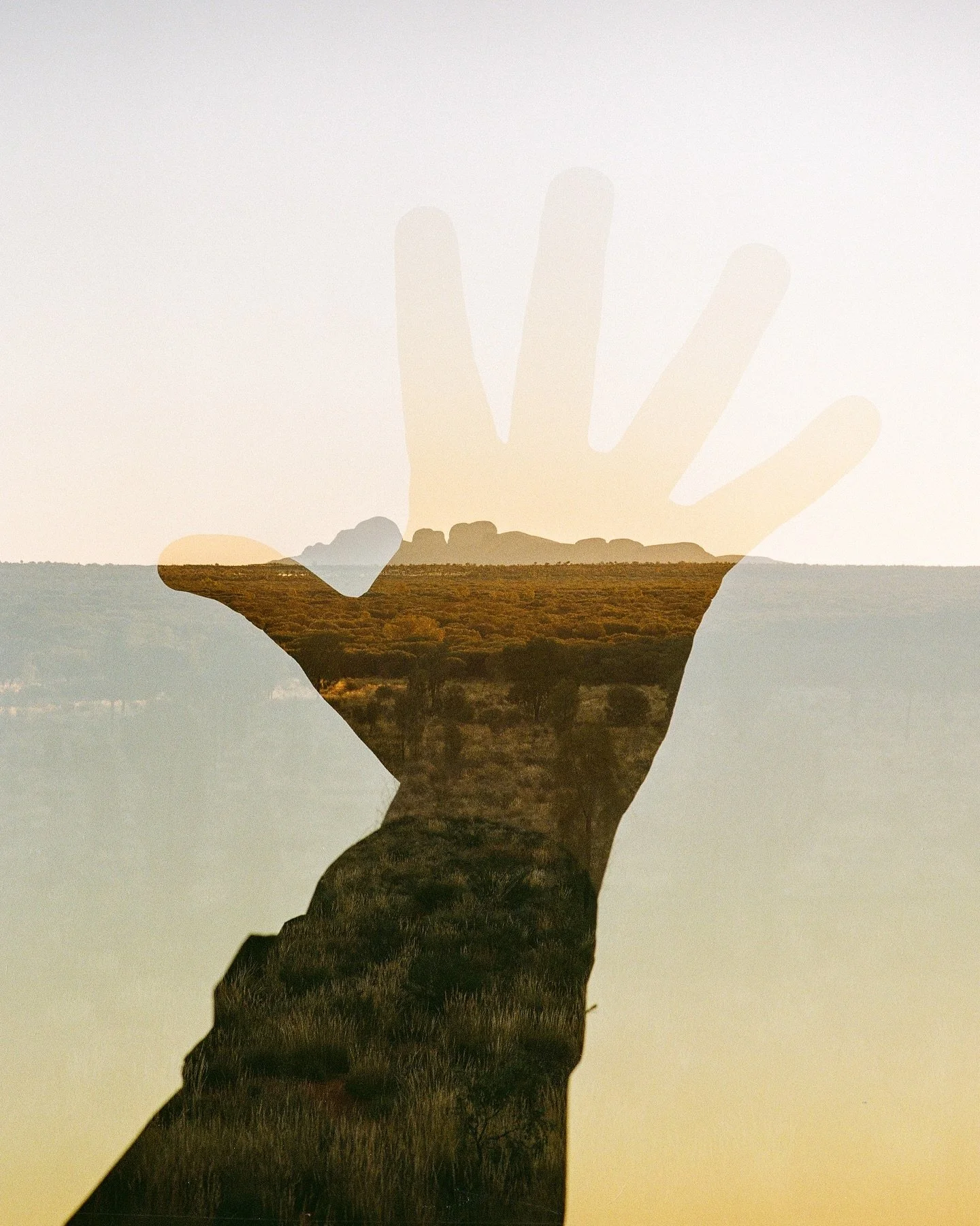 a farewell 

📷 Mamiya 645 1000S
🎞️ Kodak Gold 200
🧪 Dev &amp; scan @yourlocalfilmlab

#kodakfilm #madewithkodak #kodakprofessional