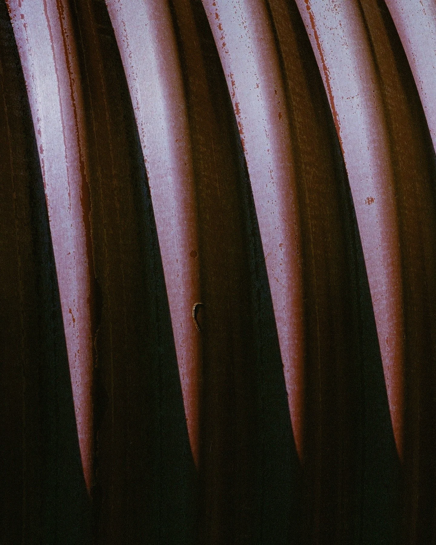 assorted textures from out west 

📷 Mamiya RB67 Pro
🎞️ Kodak Portra 400
🧪 Dev &amp; scan @yourlocalfilmlab

#kodakfilm #madewithkodak #kodakprofessional