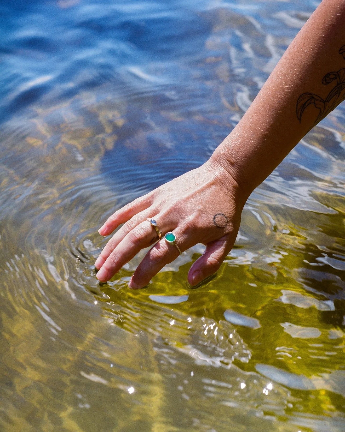 a few more spring fragments 

📷 Mamiya RB67 Pro
🎞️ Kodak Portra 400
🧪 Dev &amp; scan @yourlocalfilmlab

#kodakfilm #madewithkodak #kodakprofessional #thinkverylittle #thinkveryfilm #whimsifilm