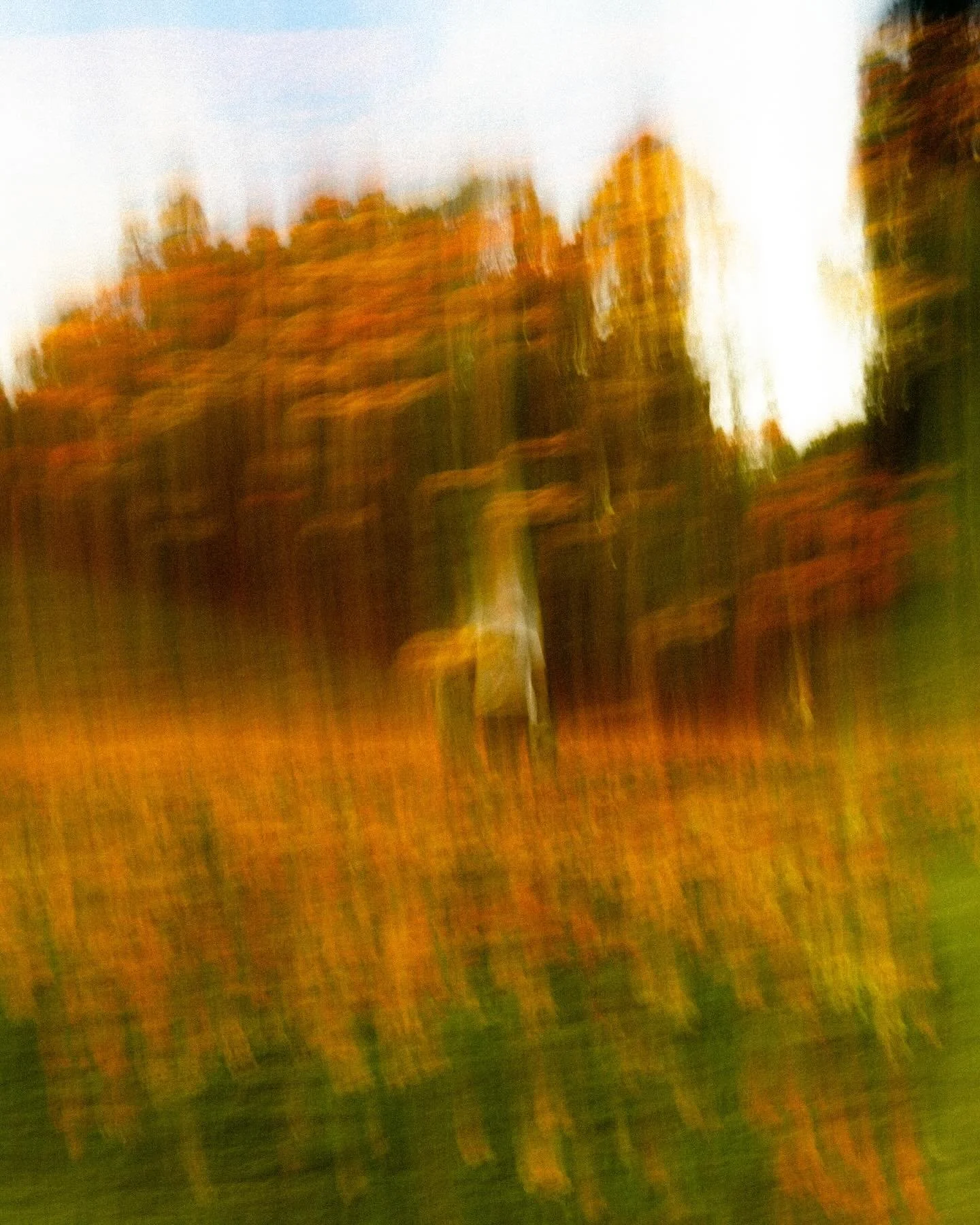 walking on a dream.

📷 Fujifilm X100V 
🗓️ 11.05.24