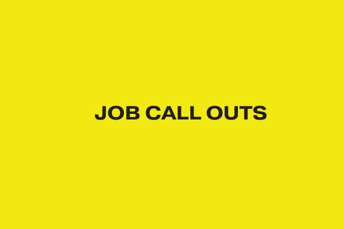 NO CURRENT CALL OUTS 