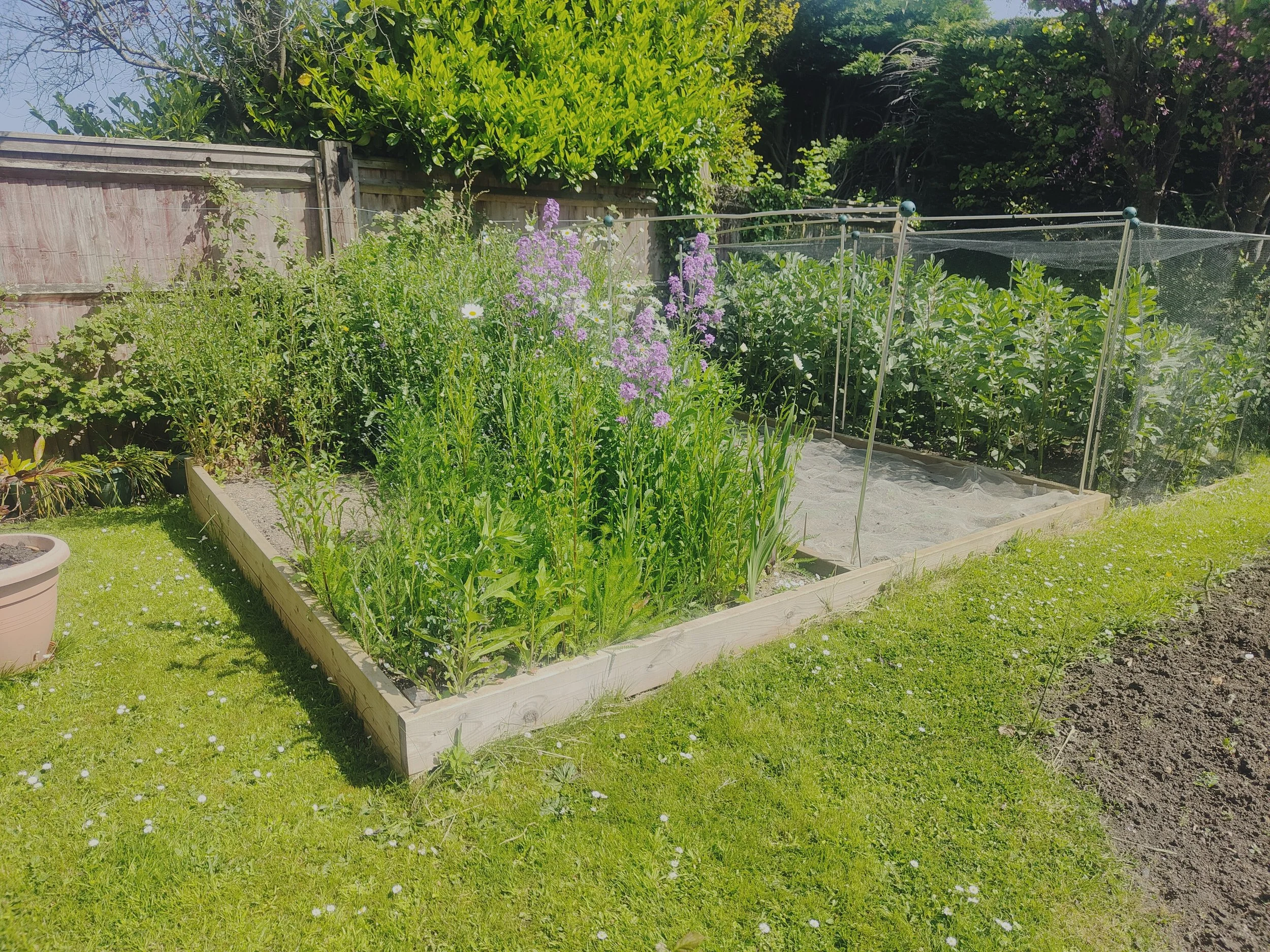Raised veg bed in Woodchester