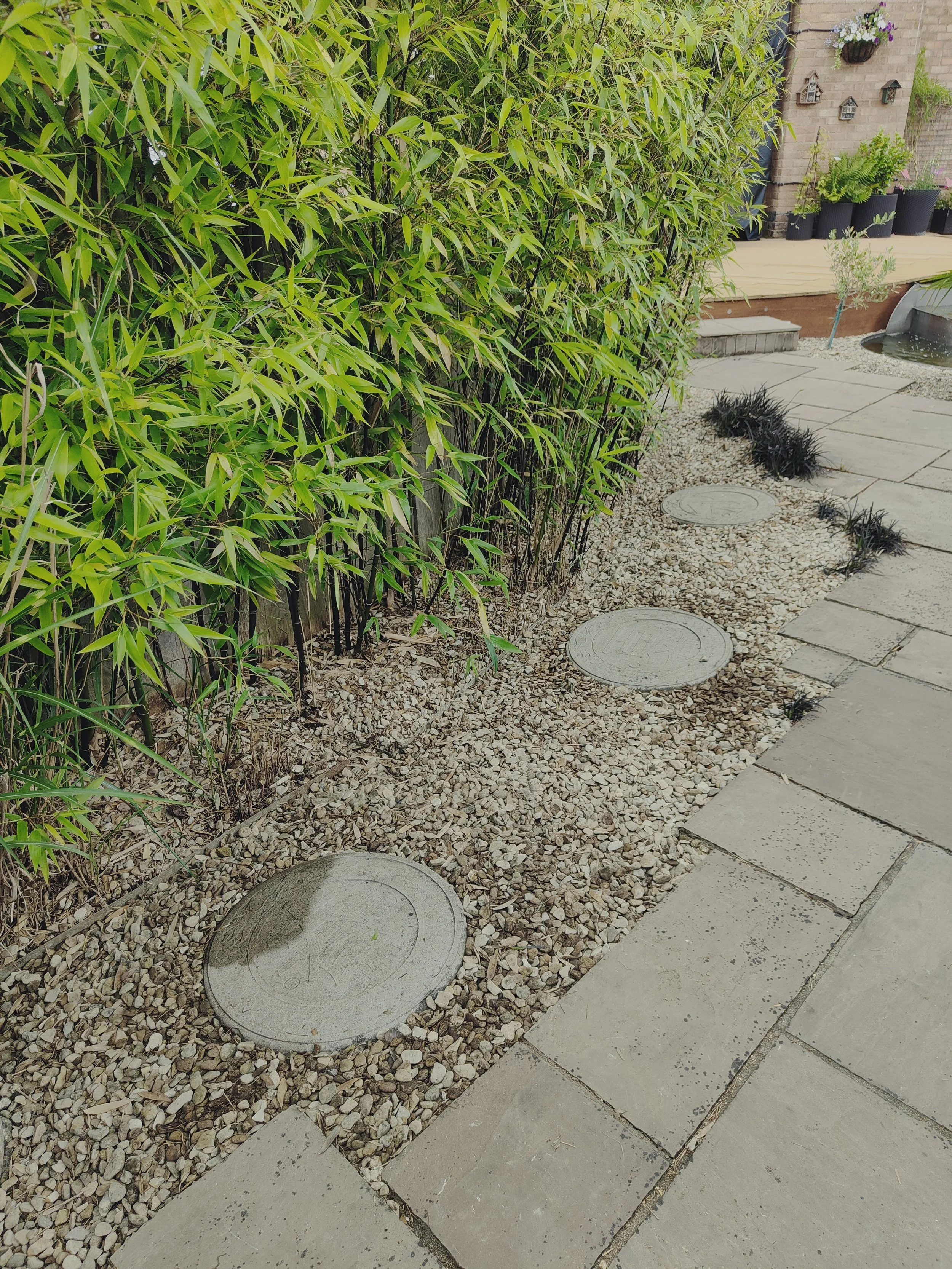 Bamboo maintenance in Stonehouse