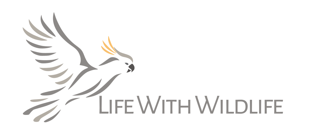 Life with Wildlife 