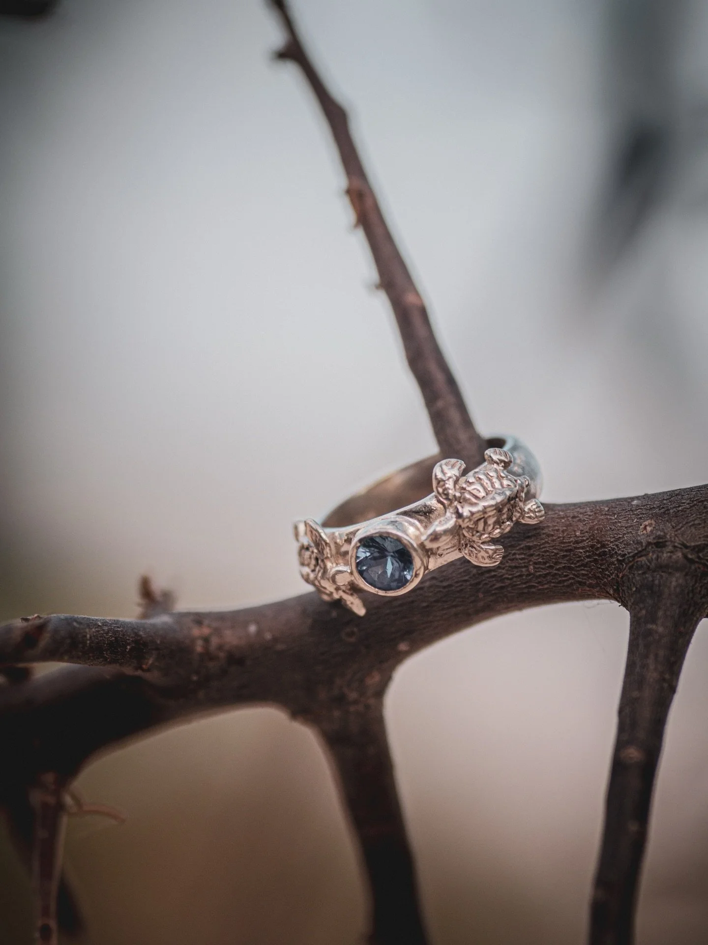 The sea turtle stands as one of Earth&rsquo;s oldest surviving lineages, yet in our century it has become an emblem of quiet emergency, a creature carrying 100 million years of memory, now pushed toward the margins of existence by a single species th