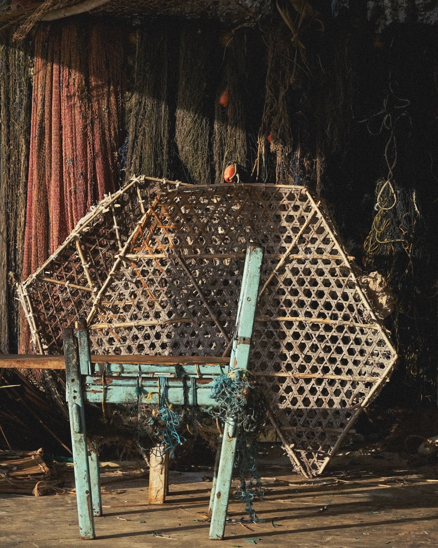 A net is a quiet thing until it tightens. It enters the sea without malice, thread by thread, a geometry of hunger cast wide enough to forget intention. Nets were once woven with limits in mind, hands remembering what the water could spare. They were