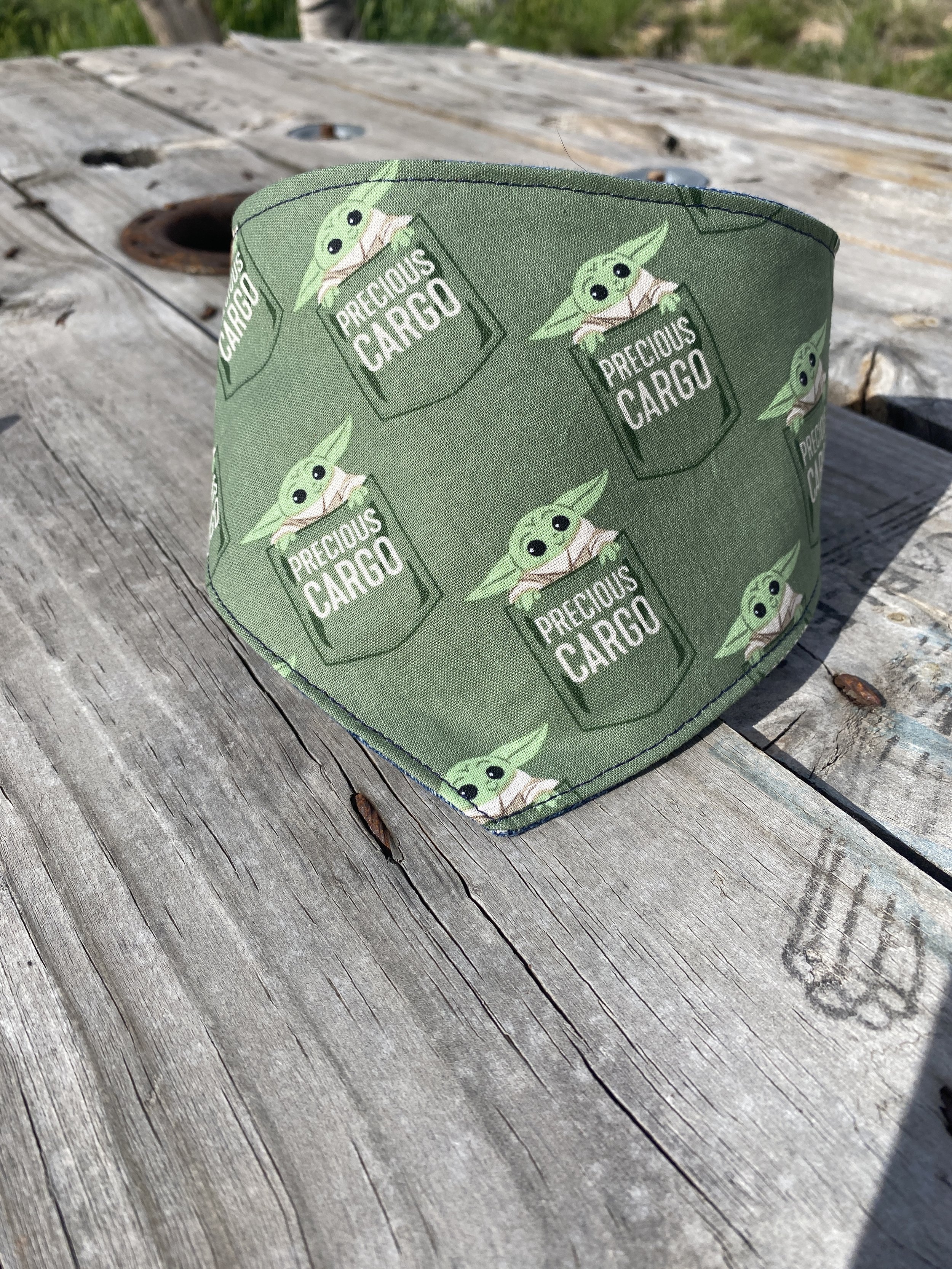 The Child in a pocket with words of precious cargo on green background dog bandana