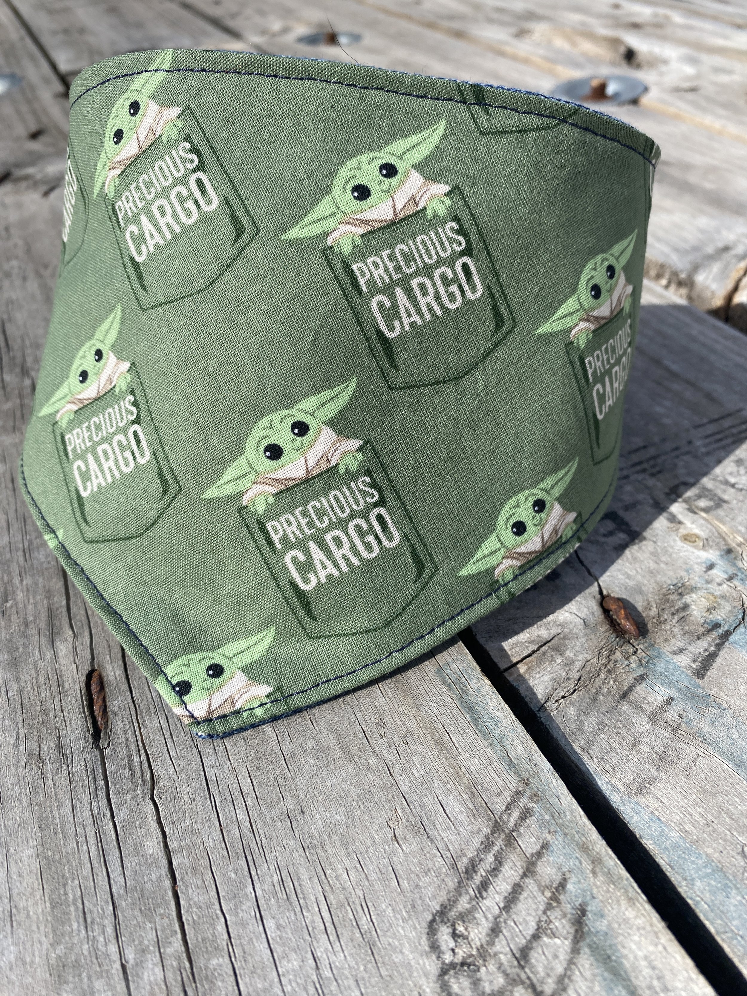 The Child in a pocket with words of precious cargo on green background dog bandana