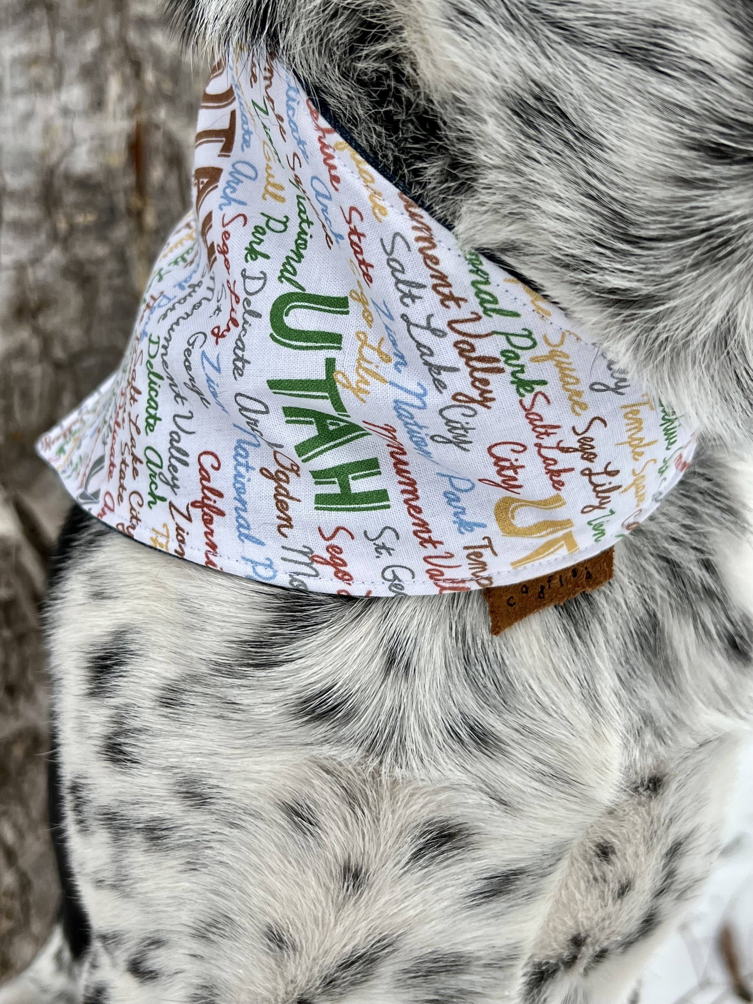 written words of famous landmarks or things of Utah dog bandana on a black and white dog