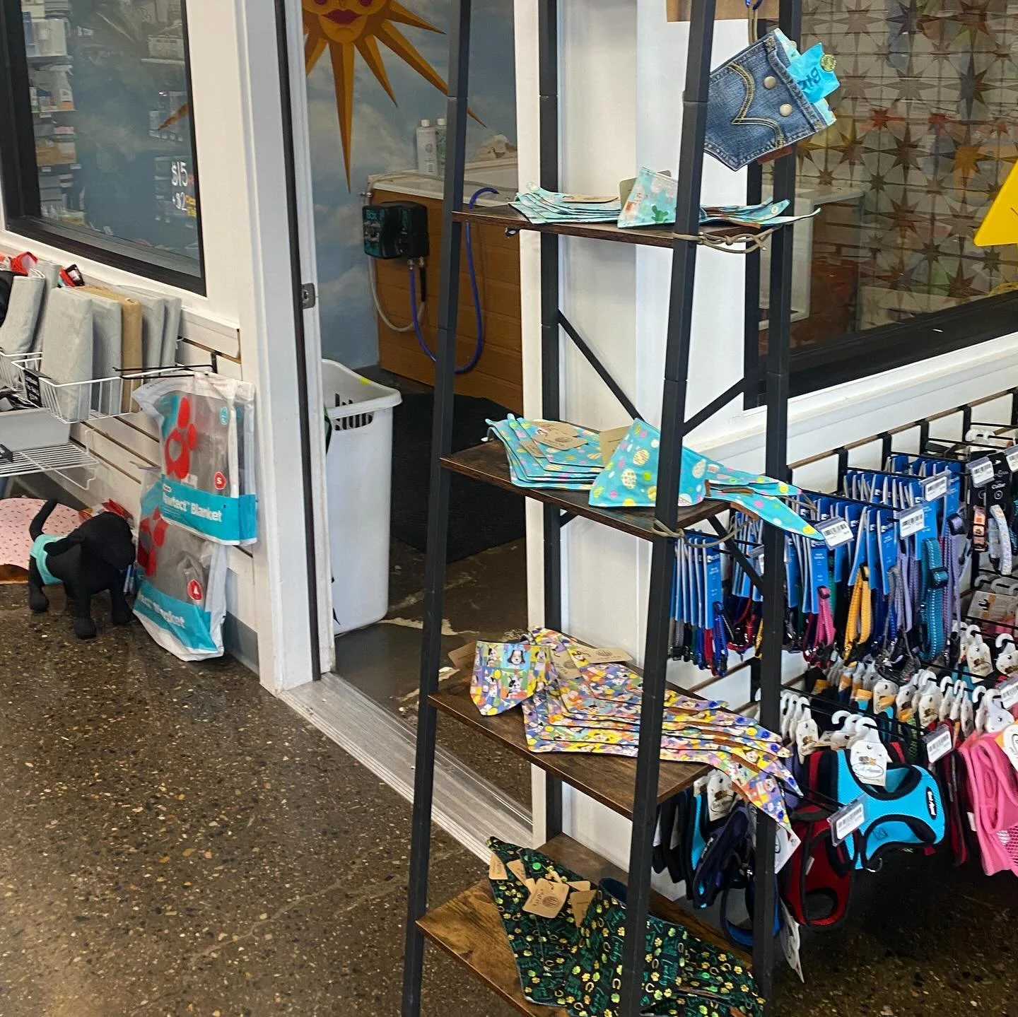 New bandanas restocked @whiskbone pet store! Easter is just around the corner so we have Easter Eggs 🐣 or Alpacas!🦙 Want to celebrate your dog&rsquo;s birthday? 🎂 We&rsquo;ve got some too! How about those lucky rescued dogs? 🐕 Yes, they&rsquo;re 