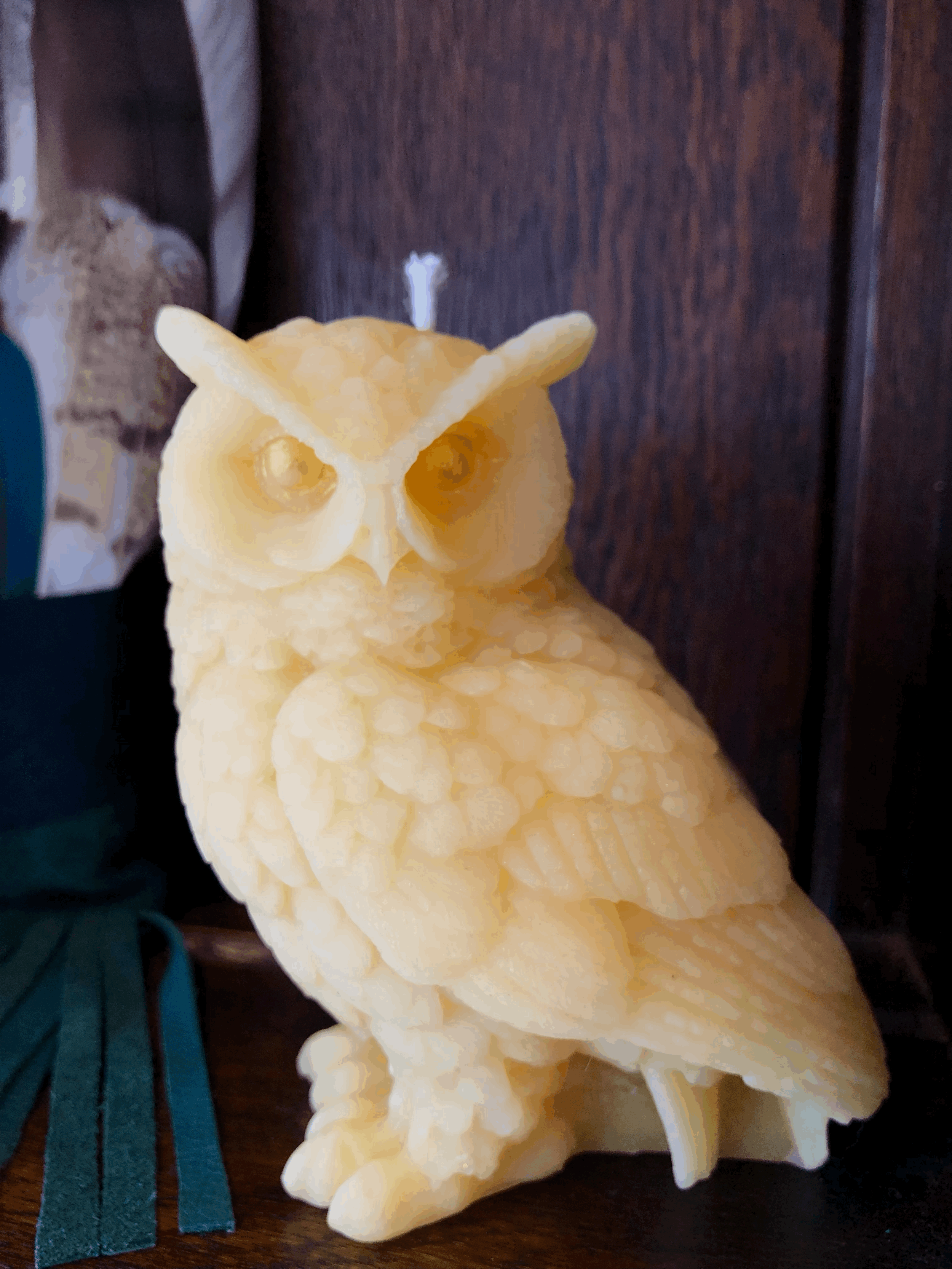 All Seeing Owl Beeswax Candle