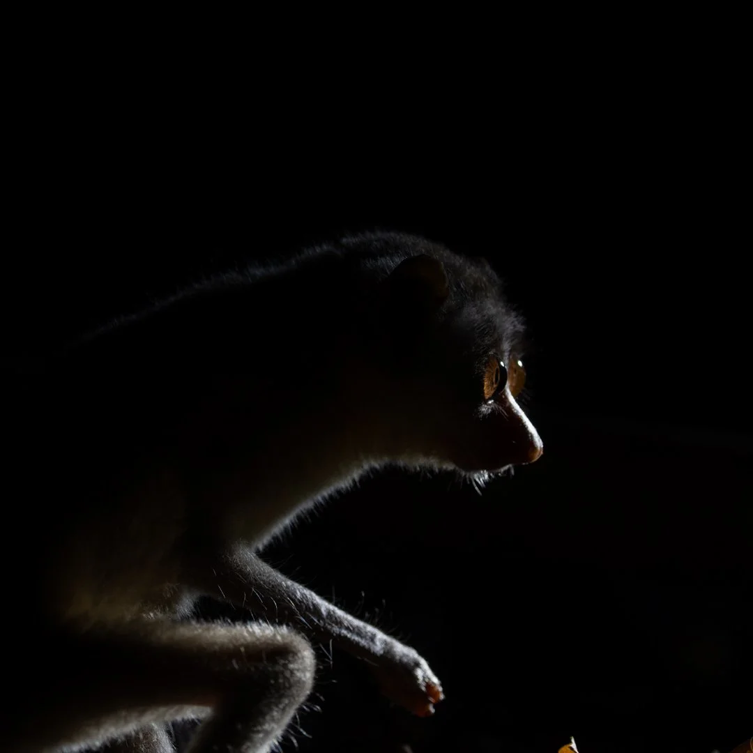 Untitled-2.jpg
