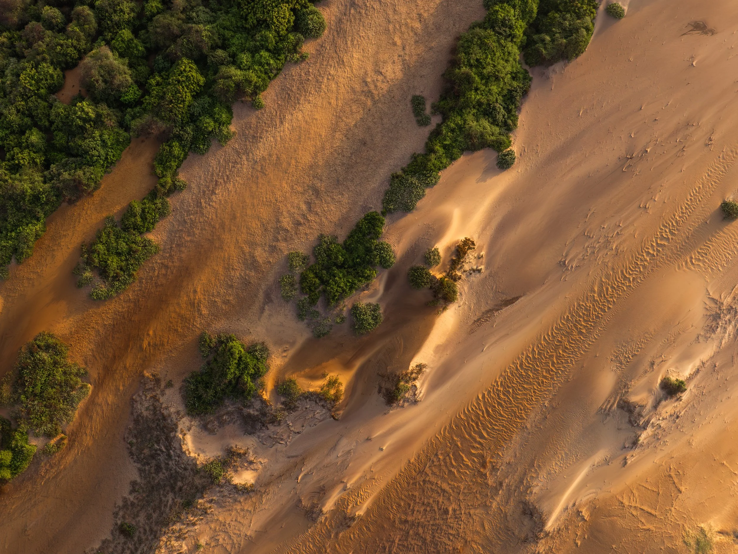 DJI_0205.jpg