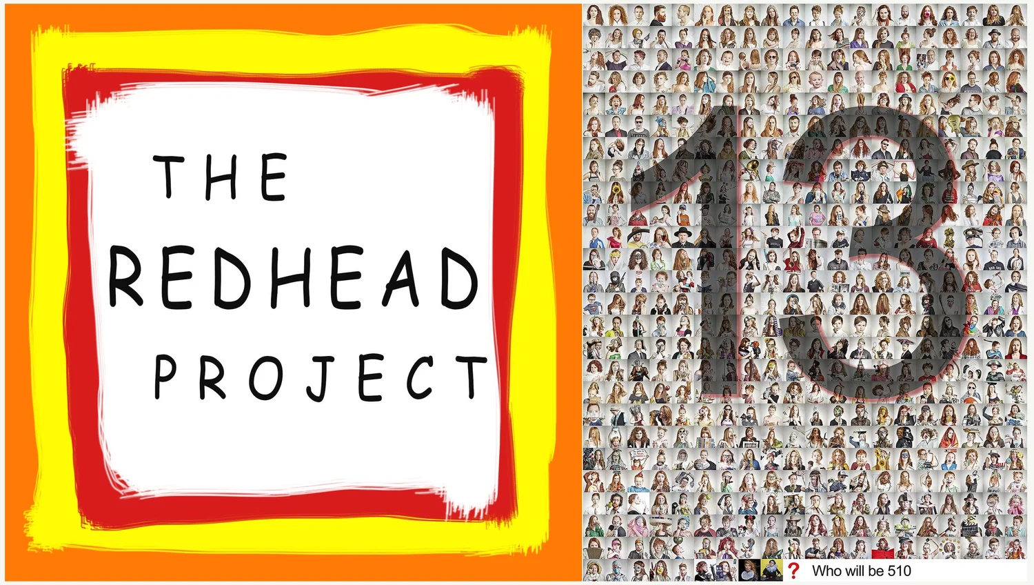 The Redhead Project