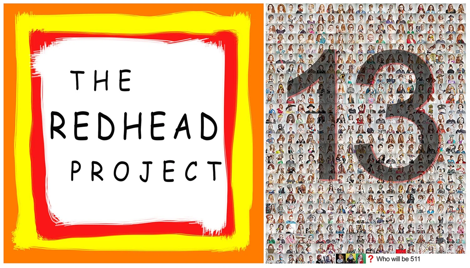 The Redhead Project