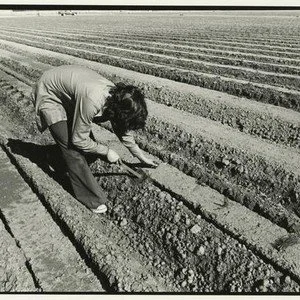 CentralCoastCollective.jfif