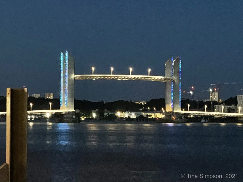 Bridge at night copyright.jpeg