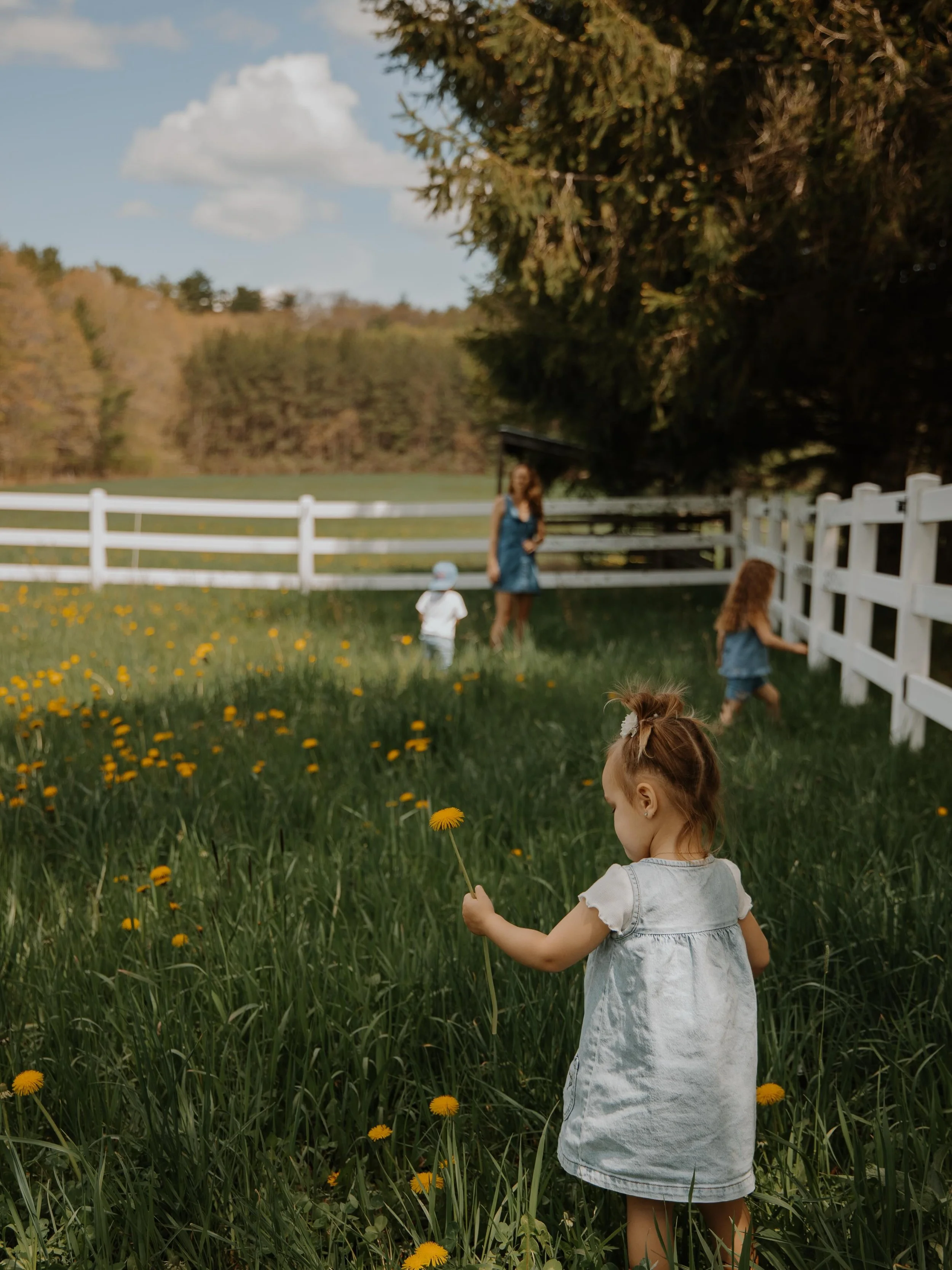 IT&rsquo;S FINALLY SPRINGTIME IN MAINE!!! Some days even feel like summer, already! ☀️🌻💛

#southernmainefamilyphotographer #mainefamilyphotographer #newenglandfamilyphotographer