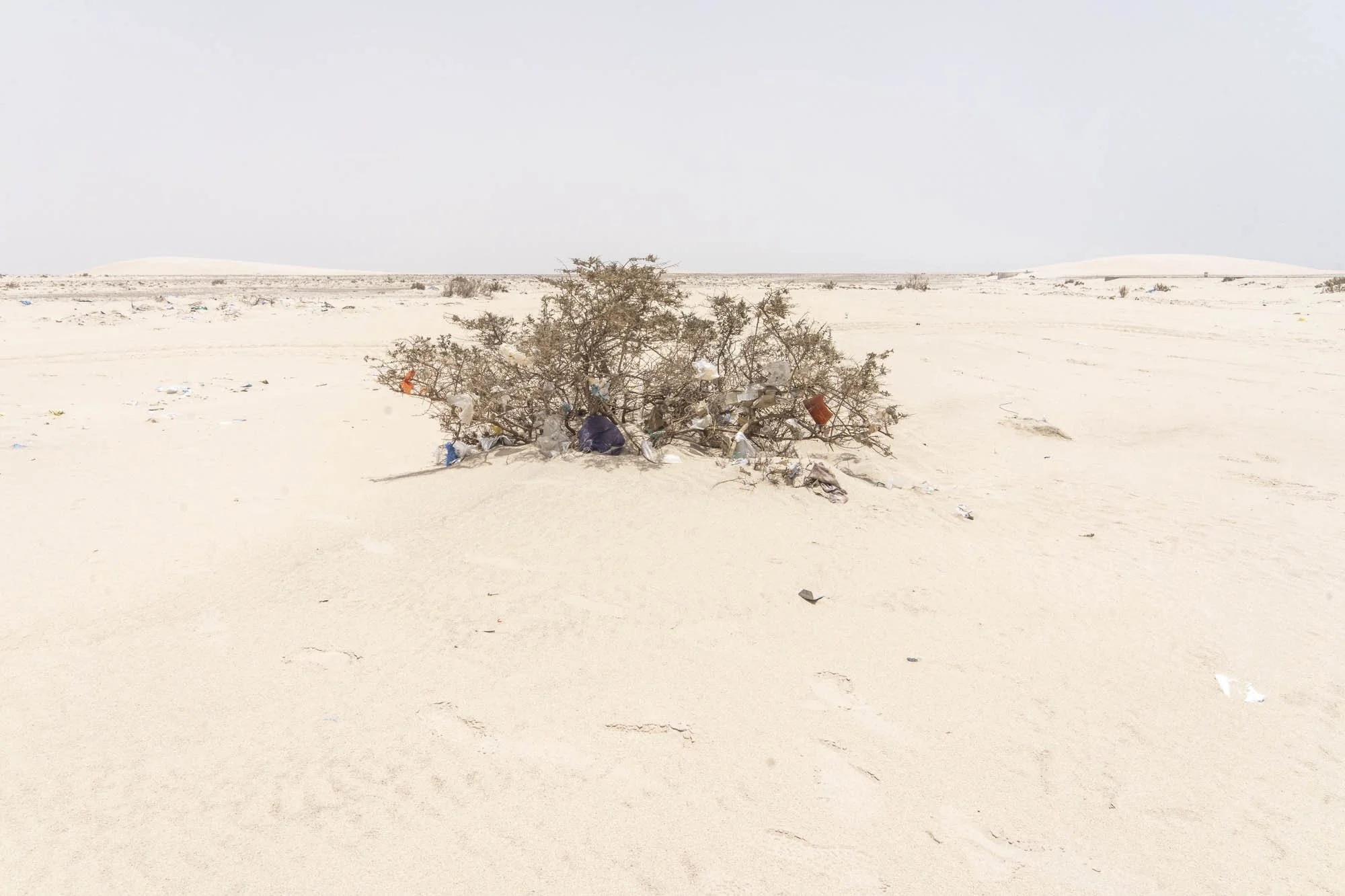 desert-16.jpg