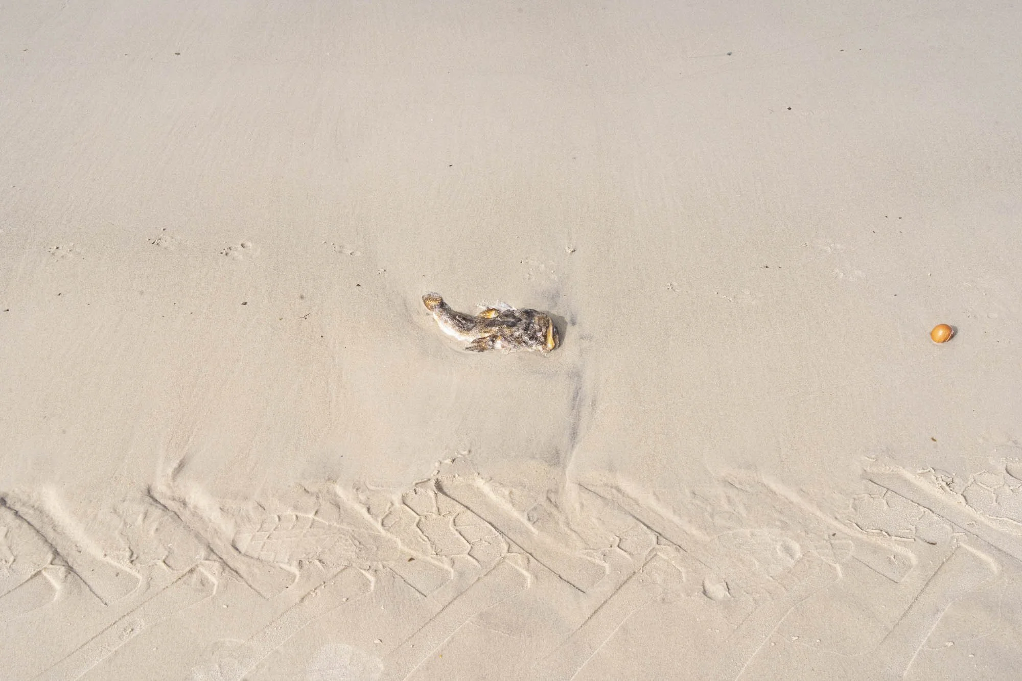 desert-14.jpg