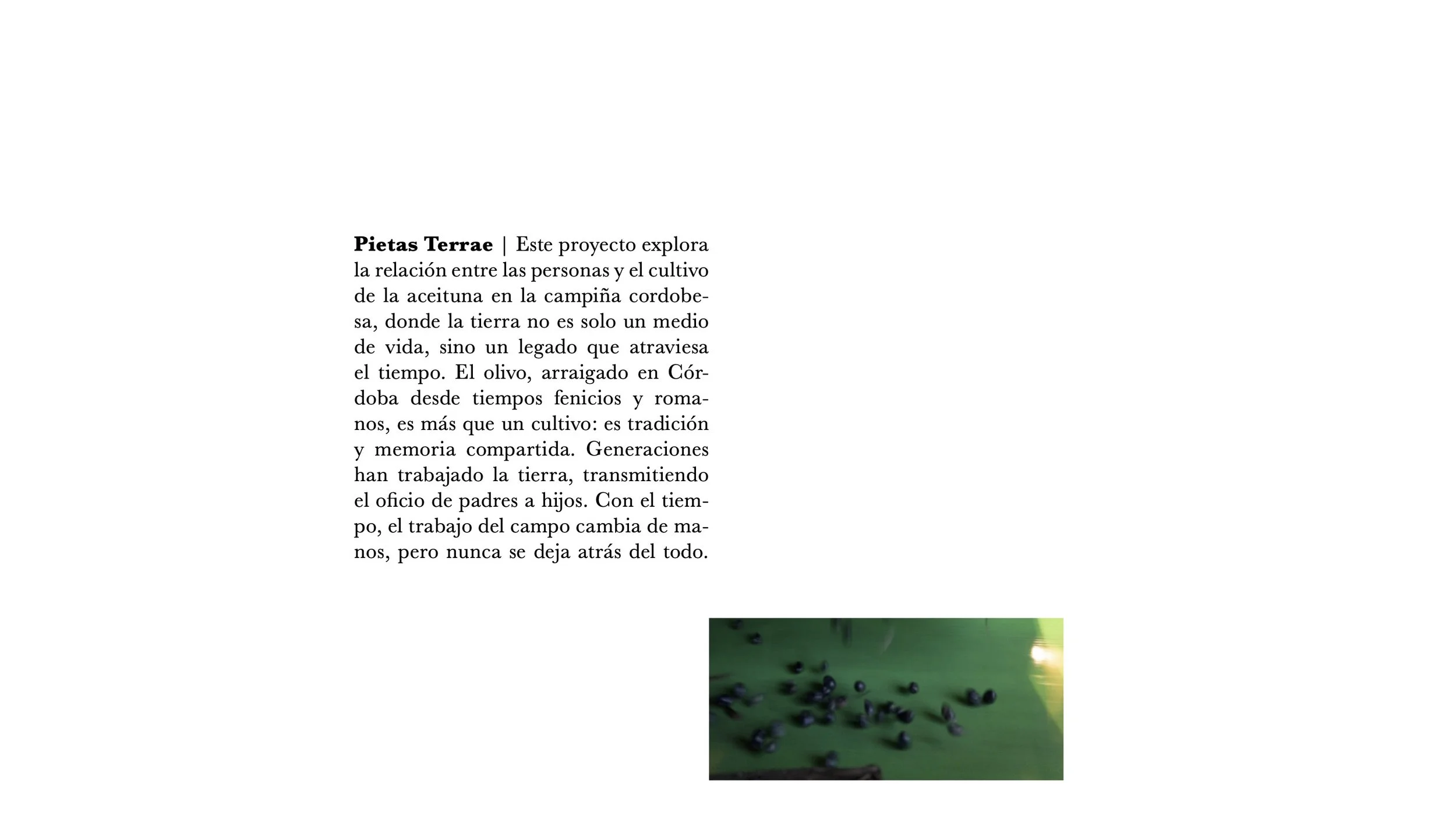 jorgeGutierrezLucena__pietasterrae2.jpg